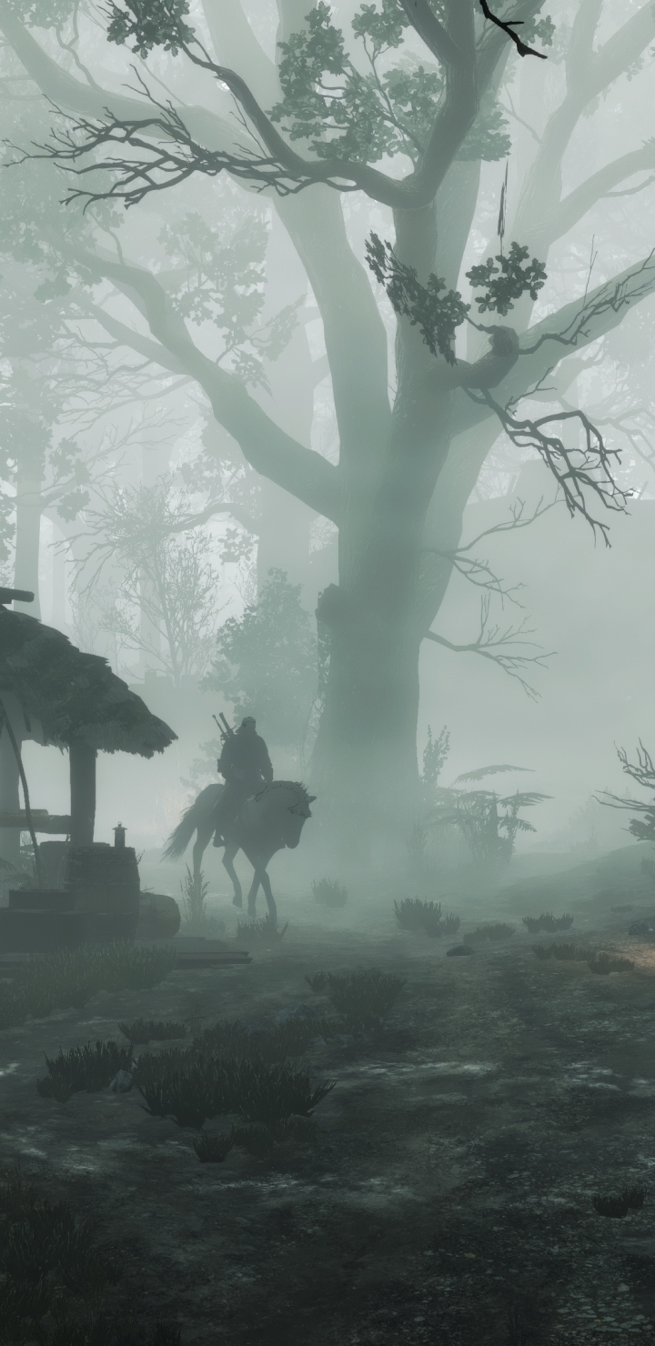 Handy-Wallpaper Nebel, Computerspiele, Der Hexer, Geralt Von Riva, The Witcher 3: Wild Hunt kostenlos herunterladen.