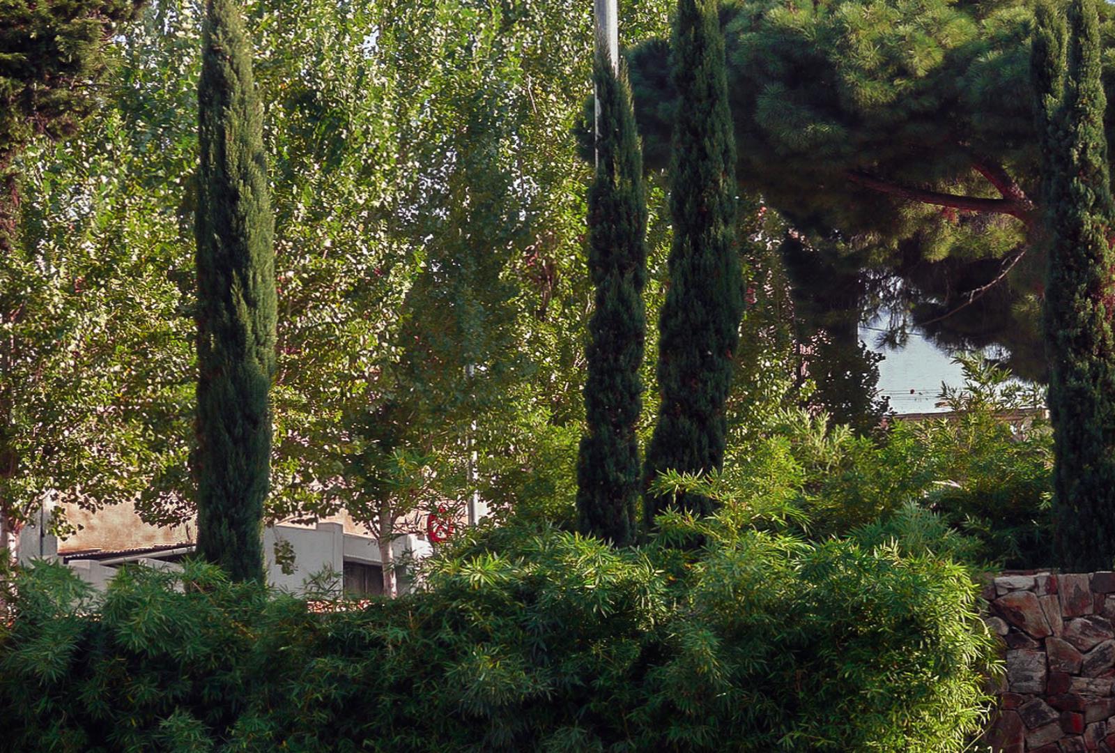 Téléchargez gratuitement l'image Des Arbres, Arbre, Terre/nature sur le bureau de votre PC