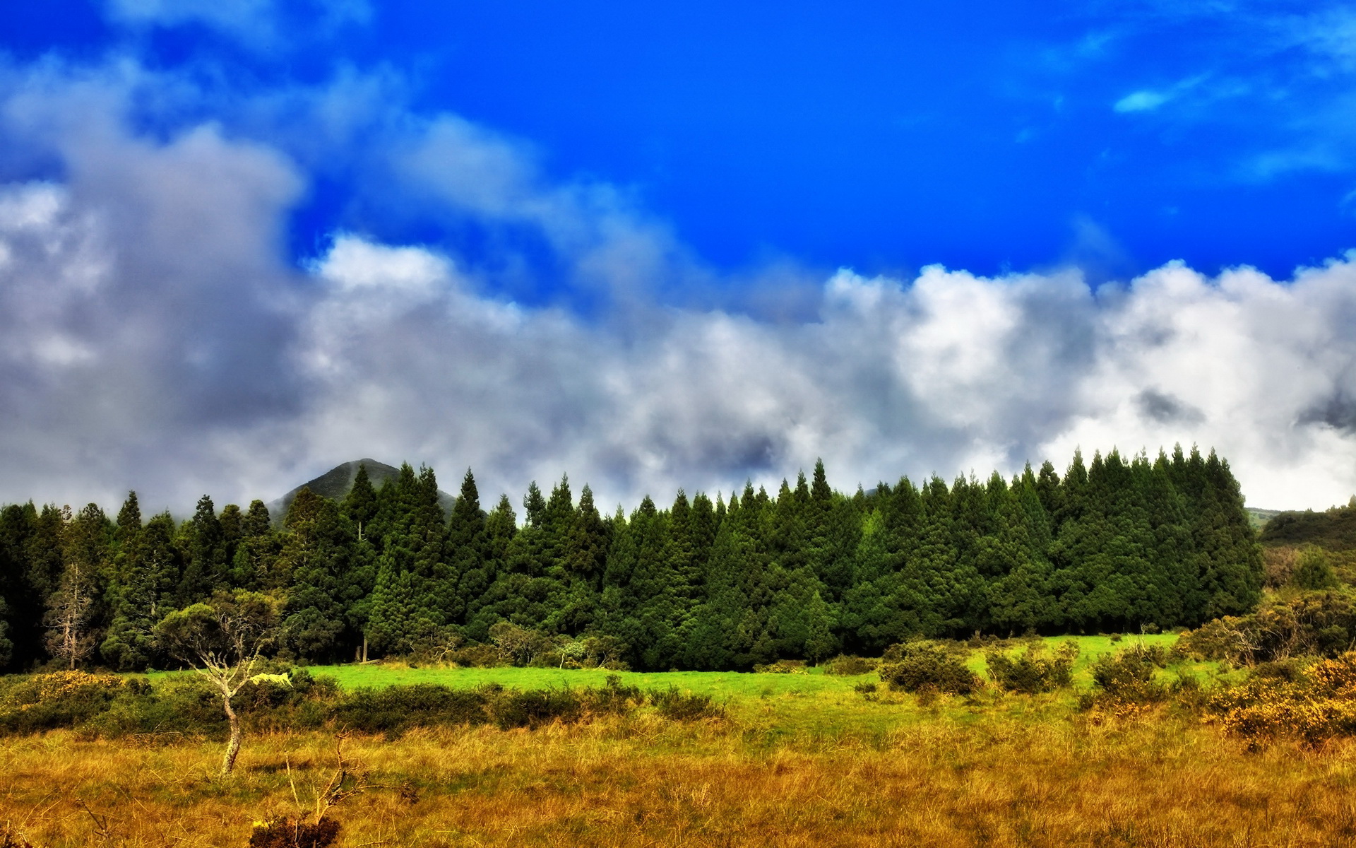 Téléchargez gratuitement l'image Paysage, Terre/nature sur le bureau de votre PC