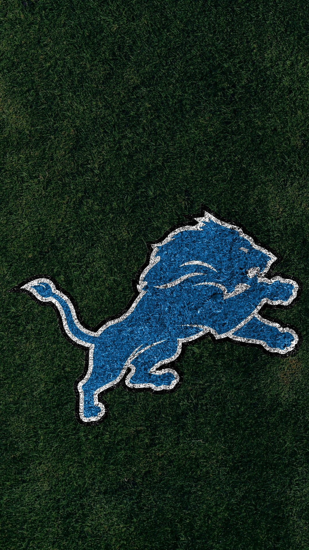 logo, sports, detroit lions, nfl, emblem, football