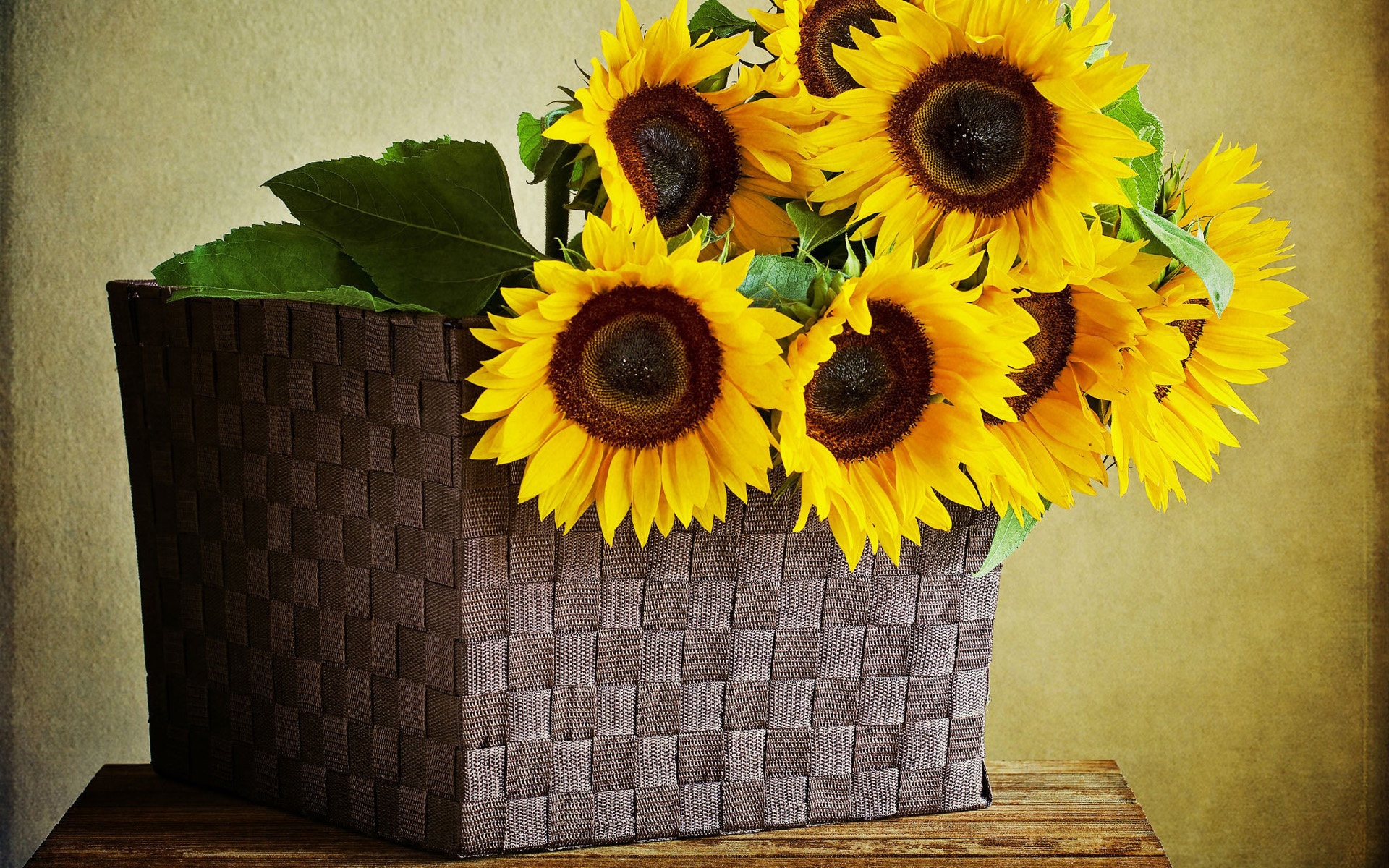 Laden Sie das Blume, Sonnenblume, Menschengemacht-Bild kostenlos auf Ihren PC-Desktop herunter