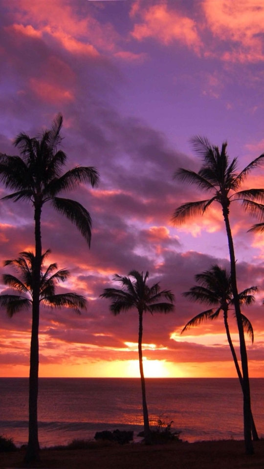 Download mobile wallpaper Nature, Sunset, Sky, Horizon, Ocean, Earth, Purple, Palm Tree for free.