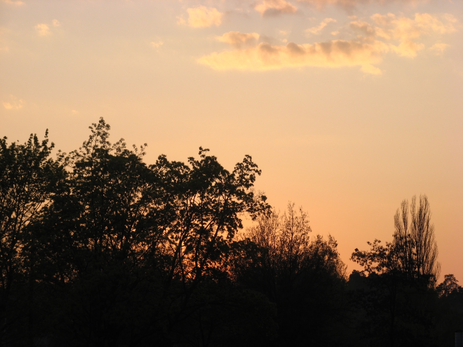 Download mobile wallpaper Landscape, Trees, Sky, Sunset for free.