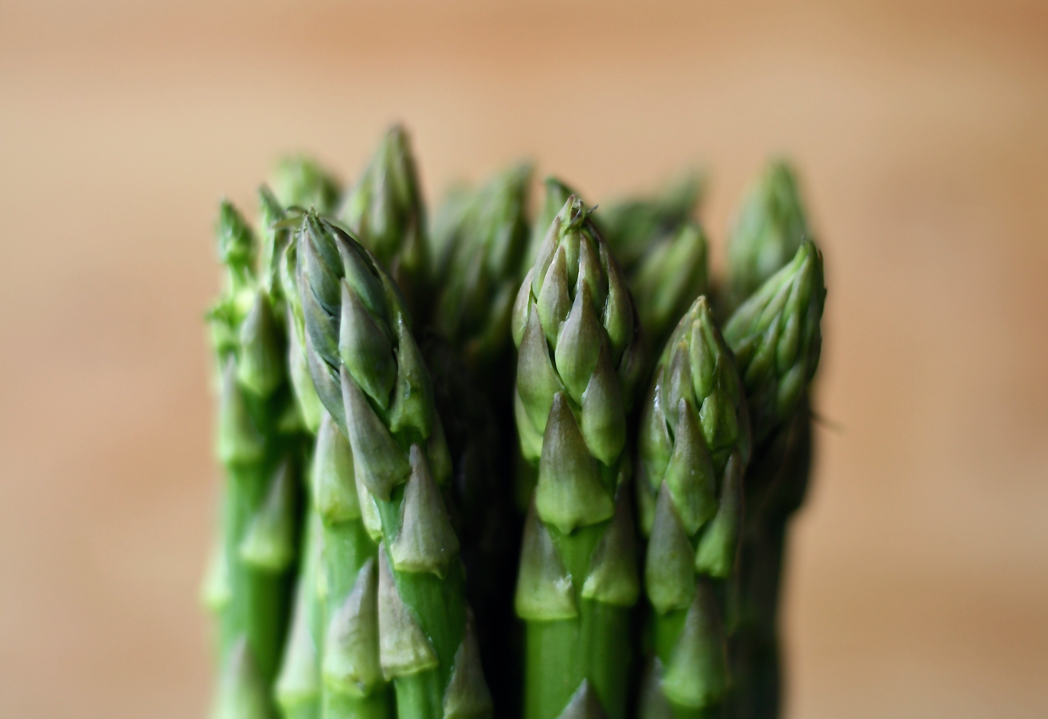 food, vegetables, blur, smooth, asparagus