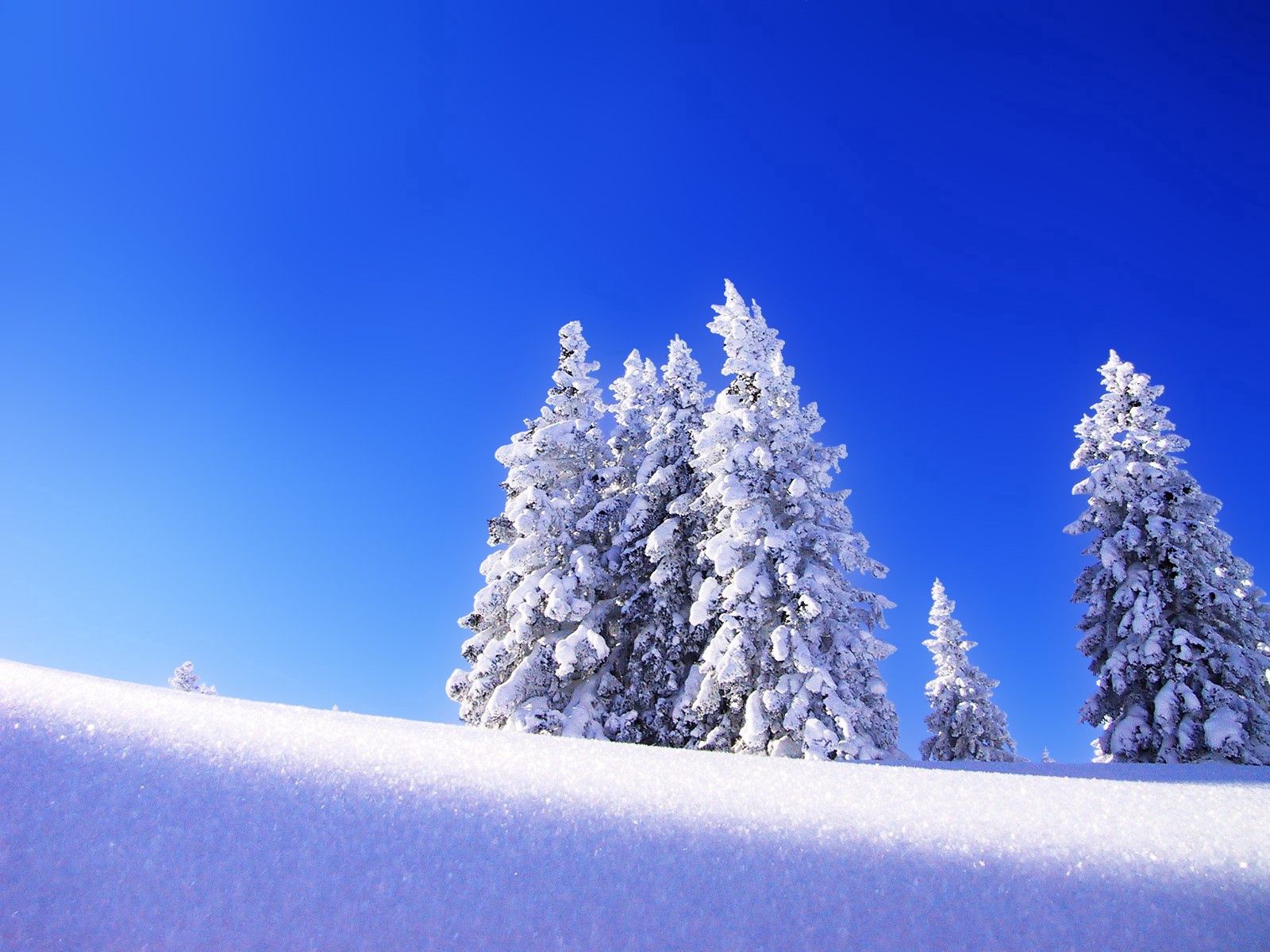 133135 скачать картинку природа, зима, ели, снег, гора, возвышение - обои и заставки бесплатно