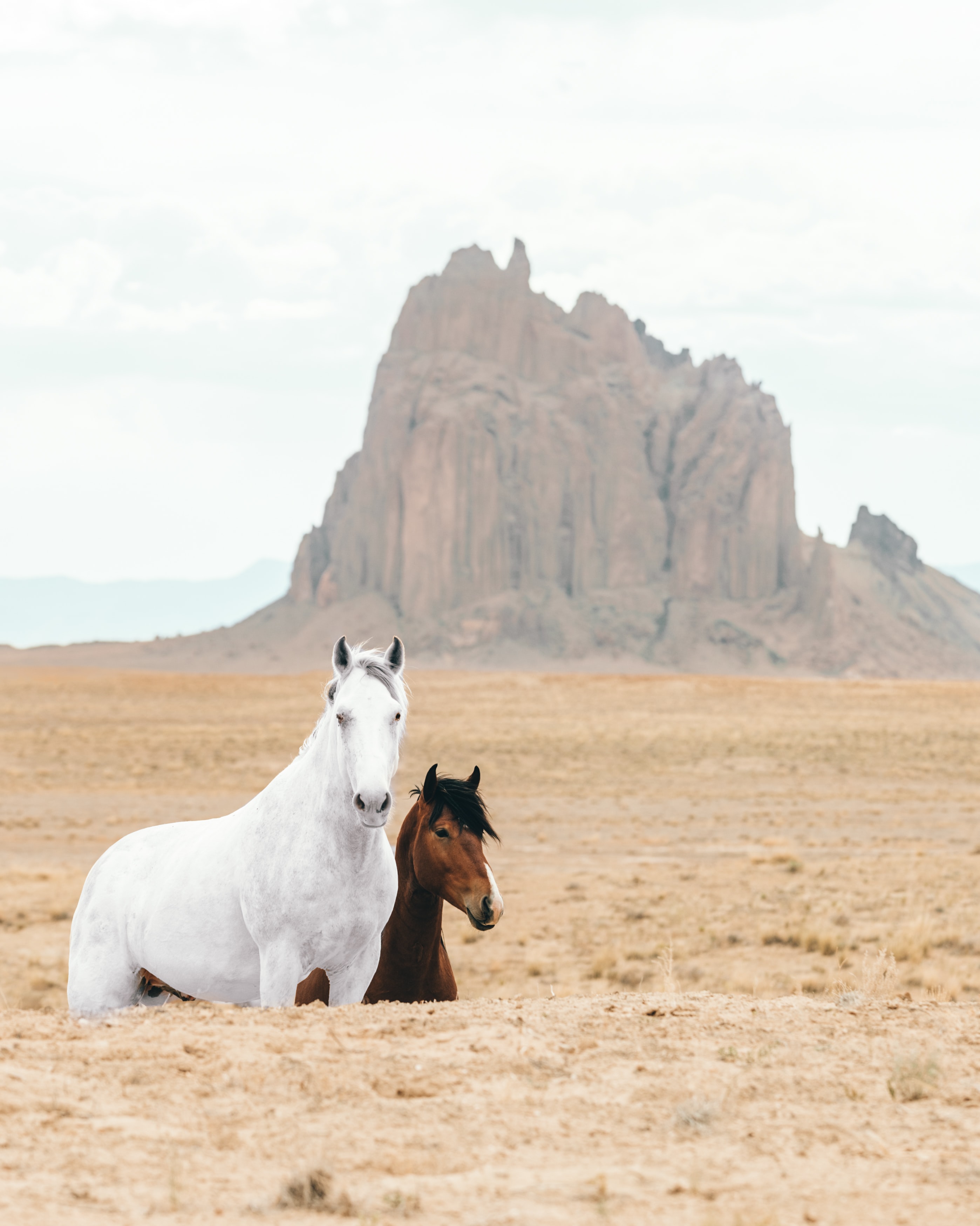 Free download wallpaper Animals, Rocks, Sand, Horse, Horses on your PC desktop