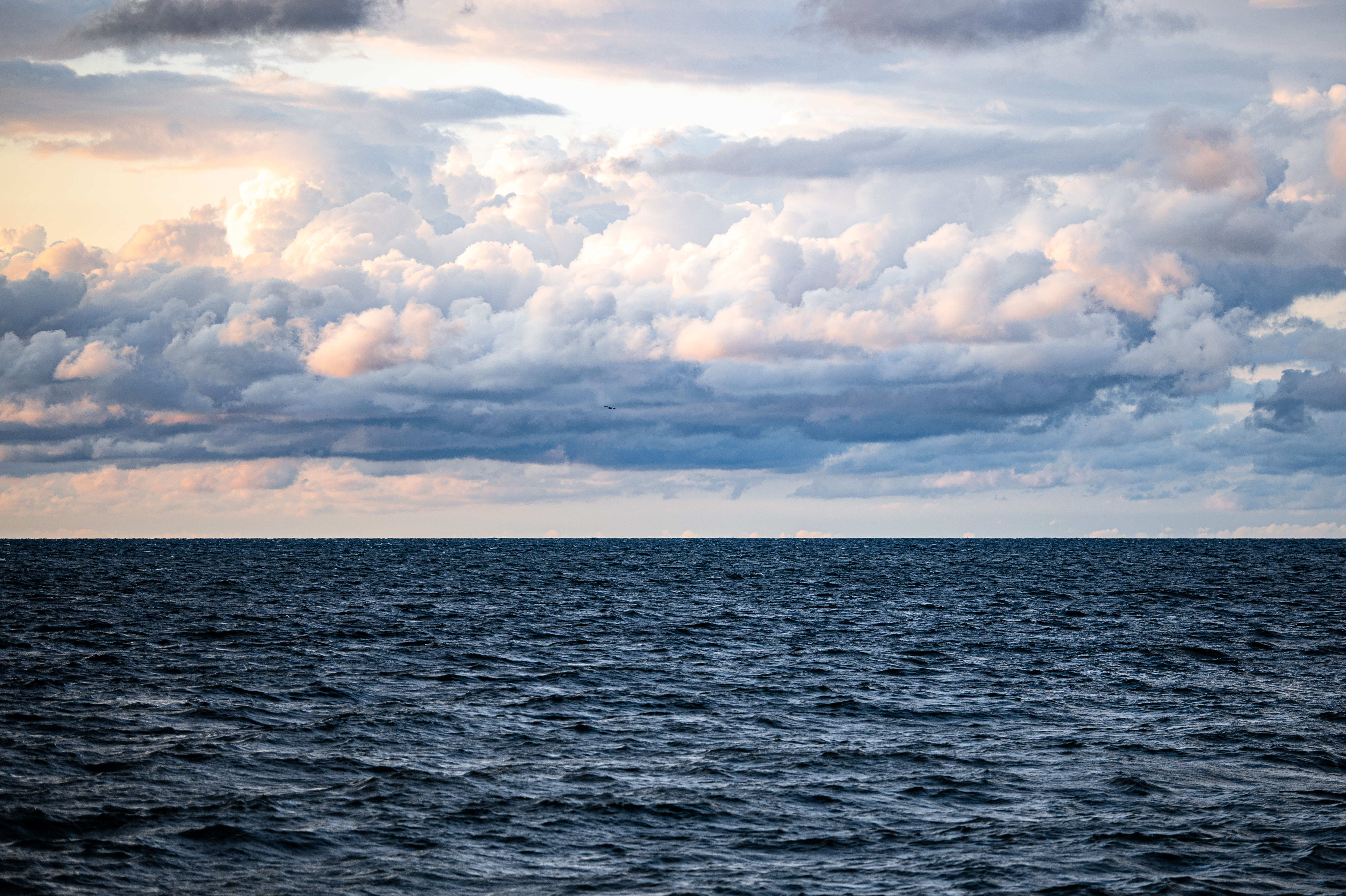 Download mobile wallpaper Clouds, Horizon, Sky, Sea, Bird, Nature for free.