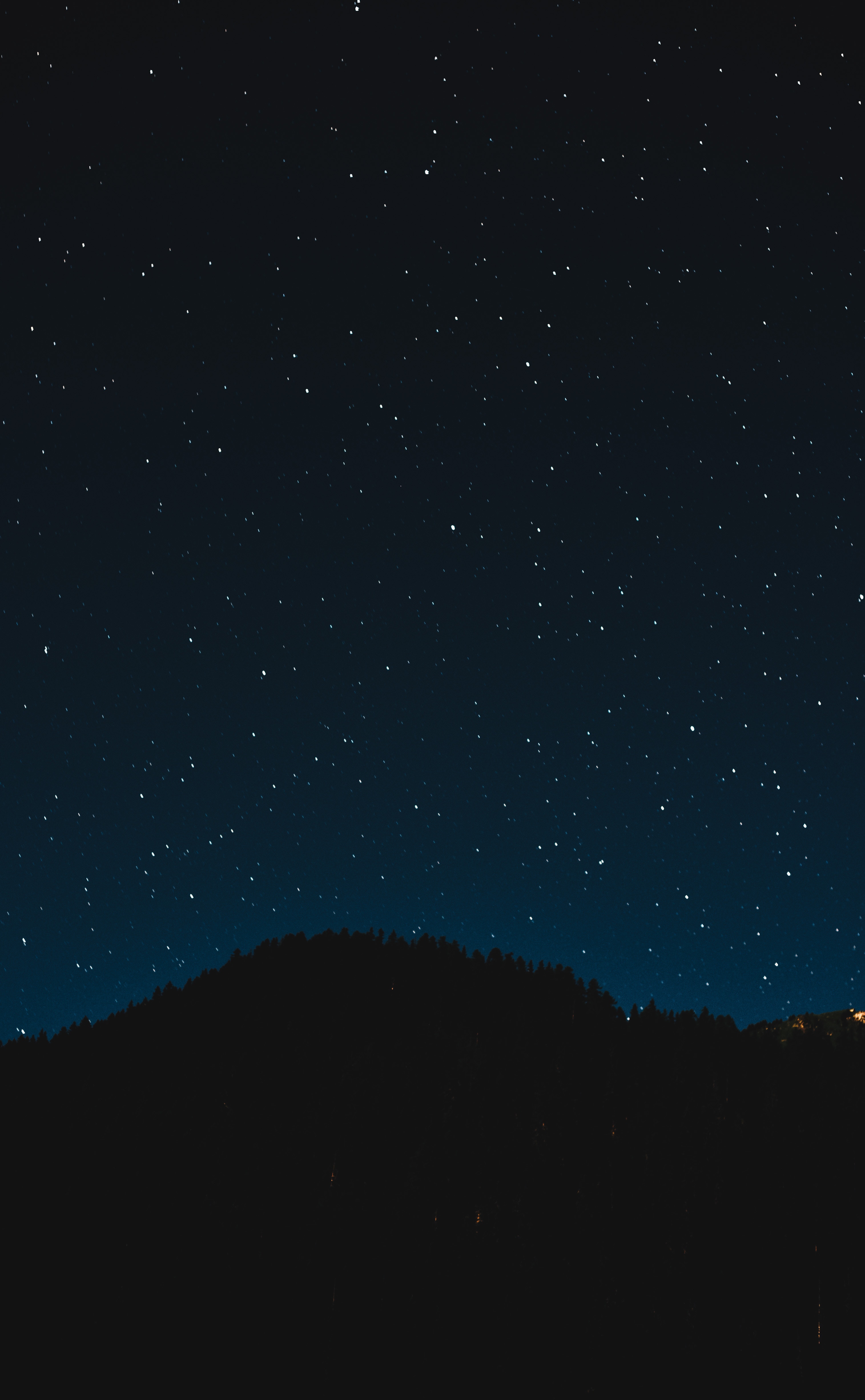Download mobile wallpaper Sky, Stars, Trees, Shine, Starry Sky, Brilliance, Night, Dark for free.