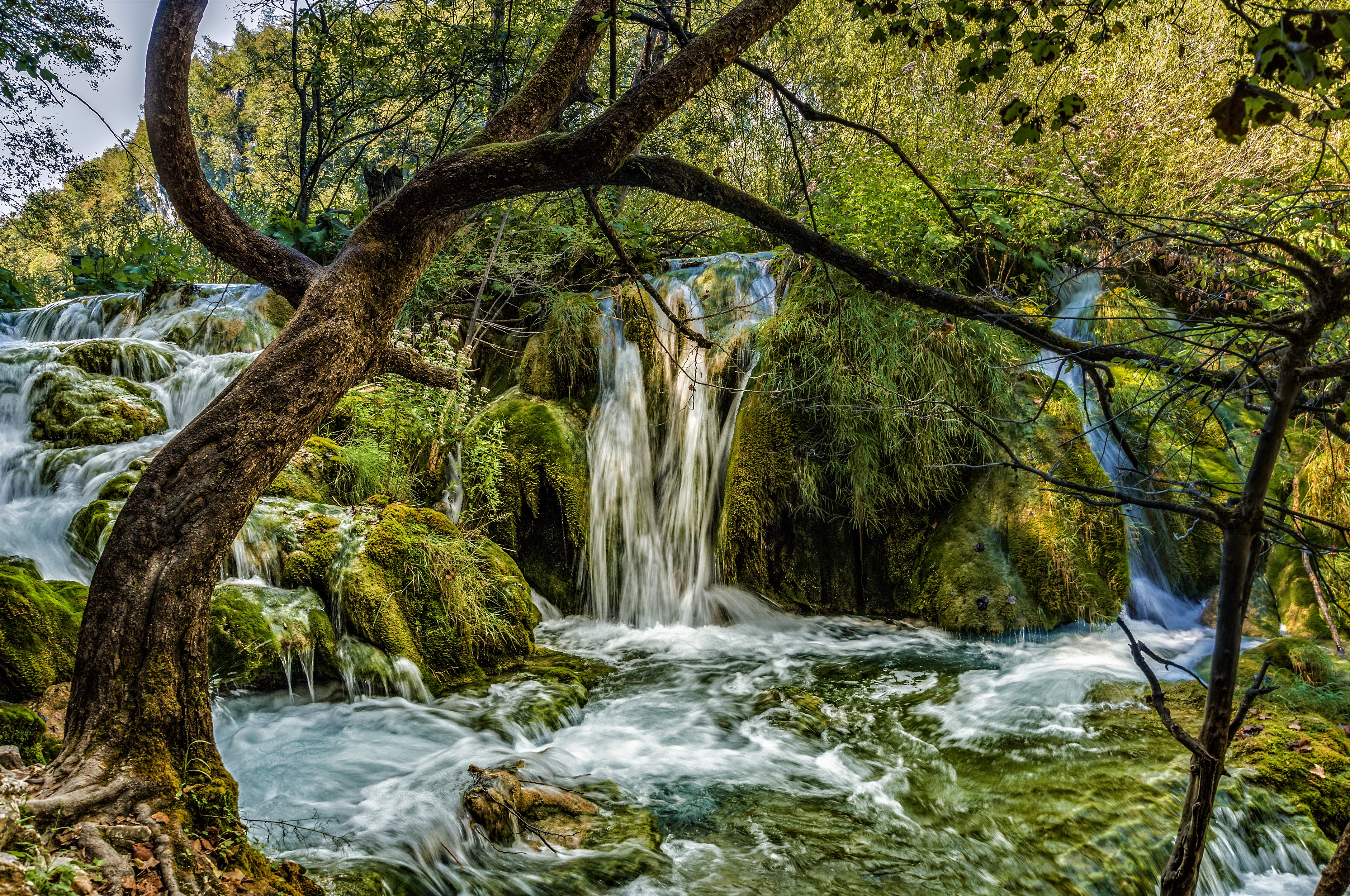 Laden Sie das Wasserfälle, Wasserfall, Moos, Erde/natur-Bild kostenlos auf Ihren PC-Desktop herunter