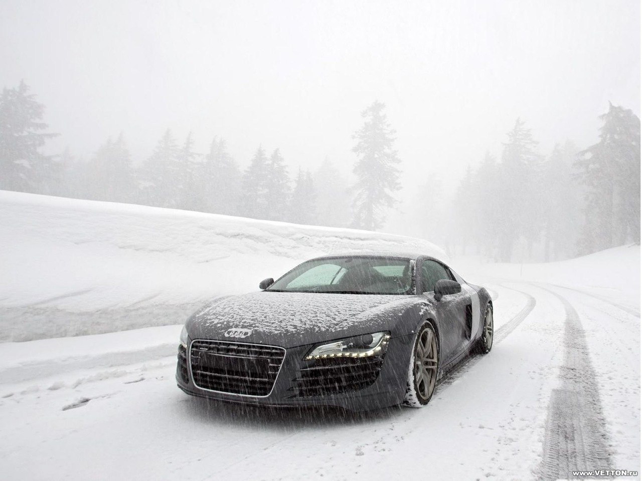Download mobile wallpaper Auto, Transport, Audi for free.