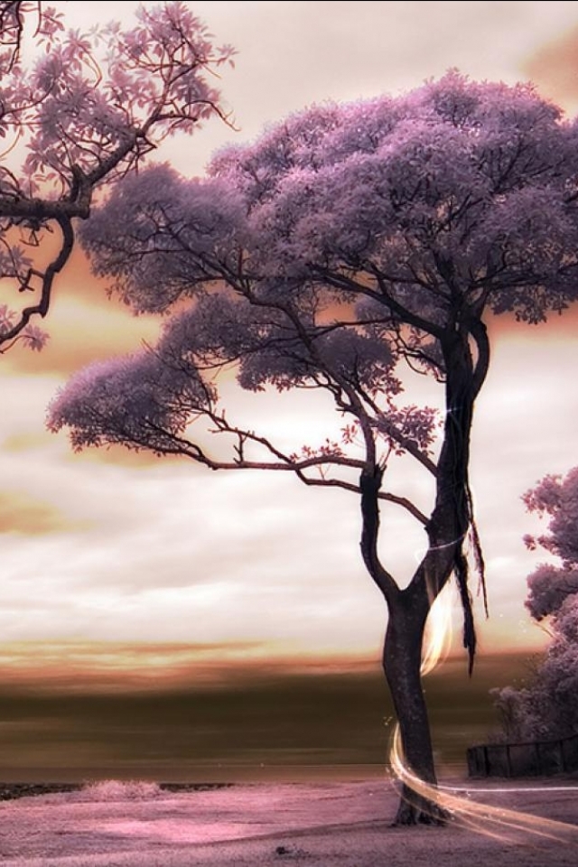 Download mobile wallpaper Landscape, Fantasy, Tree for free.