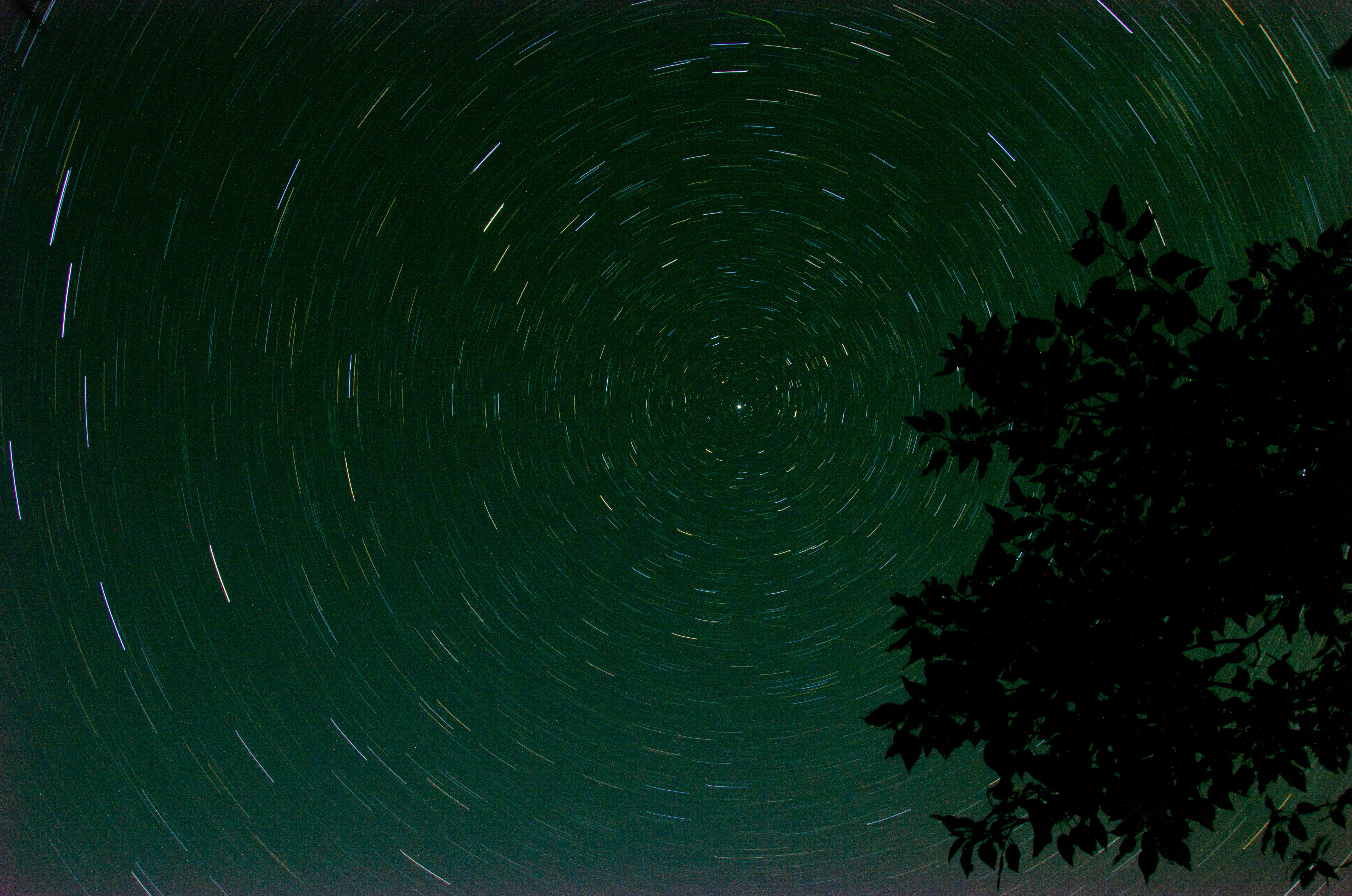 Download mobile wallpaper Nature, Branch, Stars, Circle, Starry Sky for free.