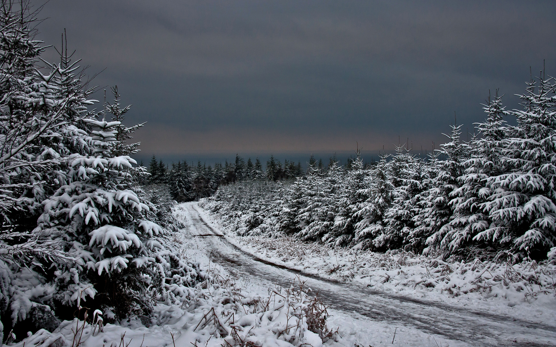 Baixe gratuitamente a imagem Inverno, Neve, Estrada, Árvore, Nuvem, Terra/natureza na área de trabalho do seu PC