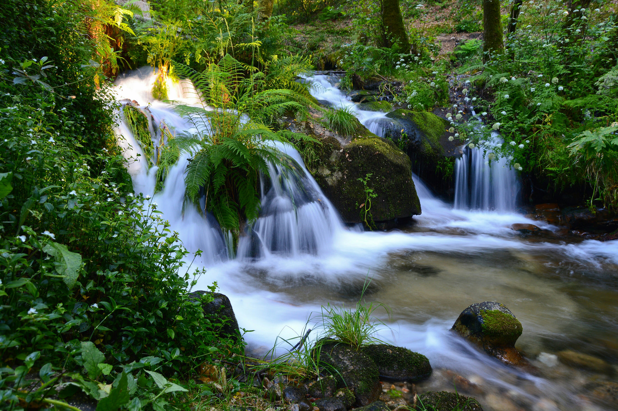 Baixe gratuitamente a imagem Cachoeiras, Floresta, Terra/natureza, Cachoeira na área de trabalho do seu PC