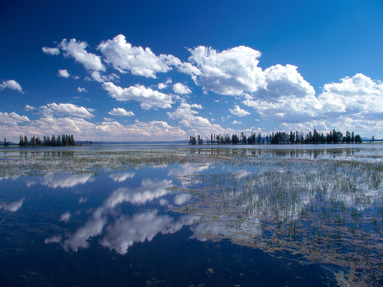 Descarga gratuita de fondo de pantalla para móvil de Lago, Tierra/naturaleza.