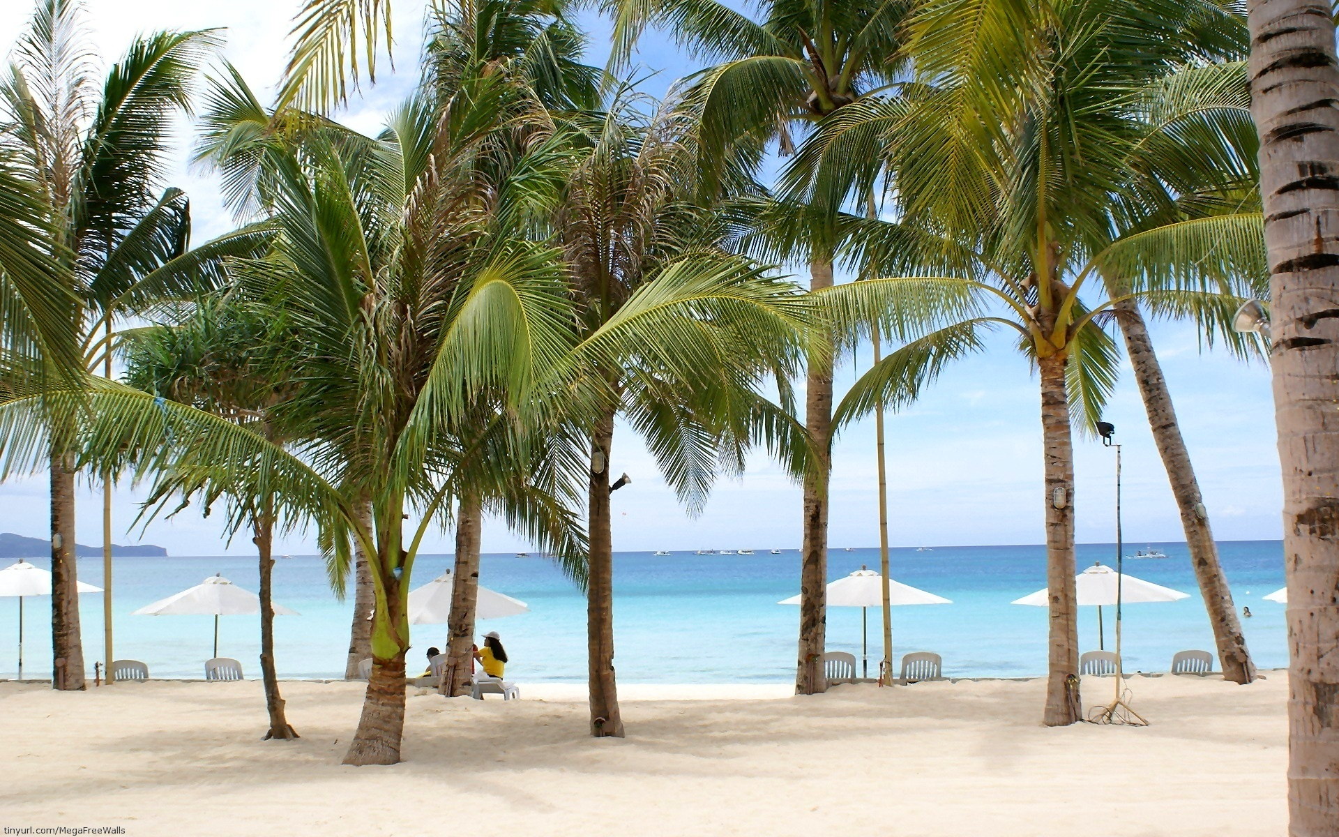 Handy-Wallpaper Strand, Sand, Baum, Palme, Tropisch, Fotografie, Feiertag kostenlos herunterladen.