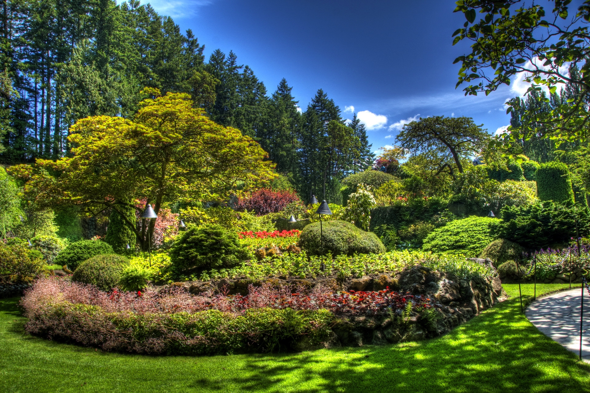 67951 скачать обои сад, ярко, тень, природа, растительность, клумба, зеленый - заставки и картинки бесплатно
