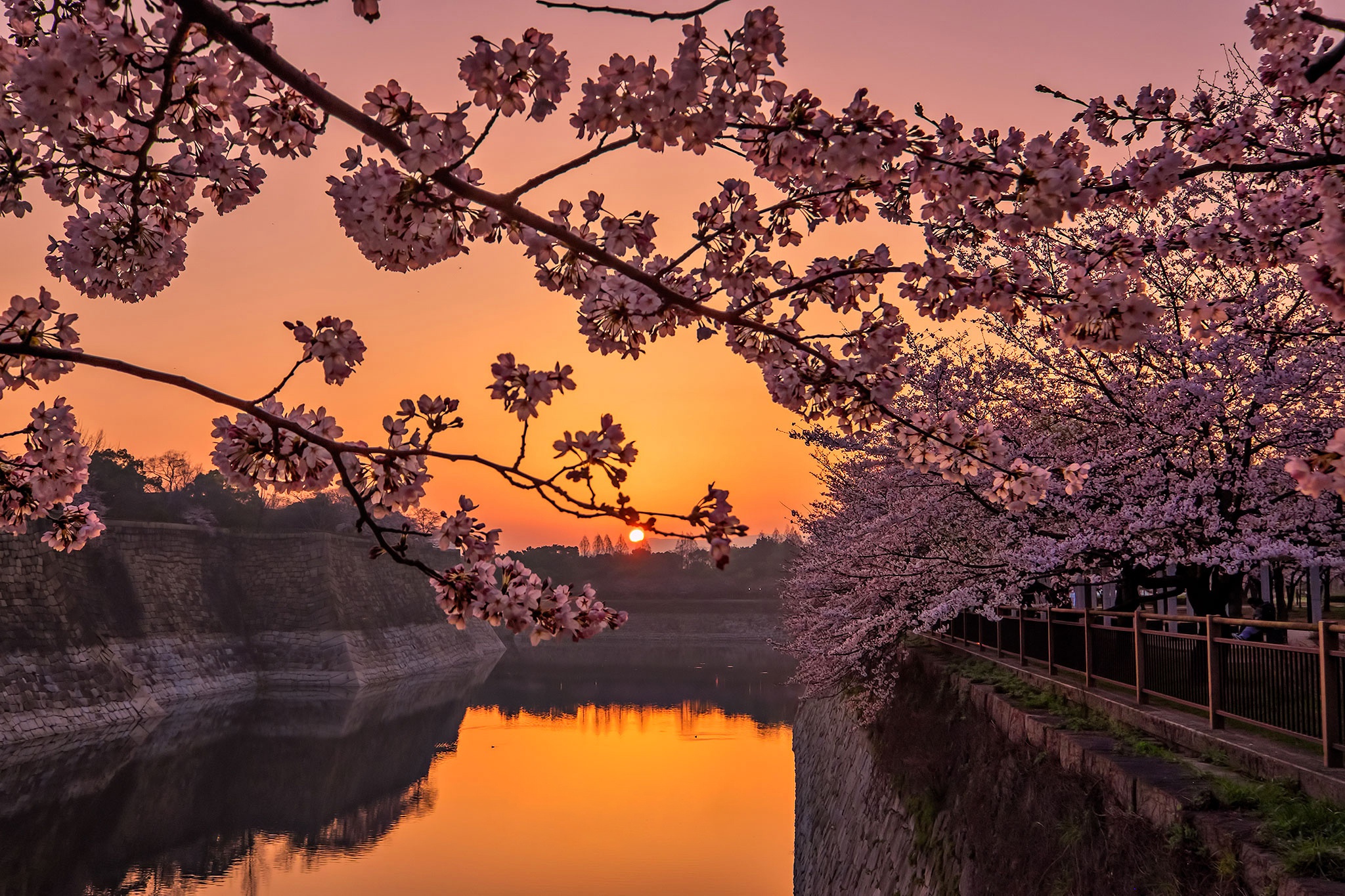 Download mobile wallpaper Sunset, Sakura, Japan, Spring, Man Made, Canal for free.
