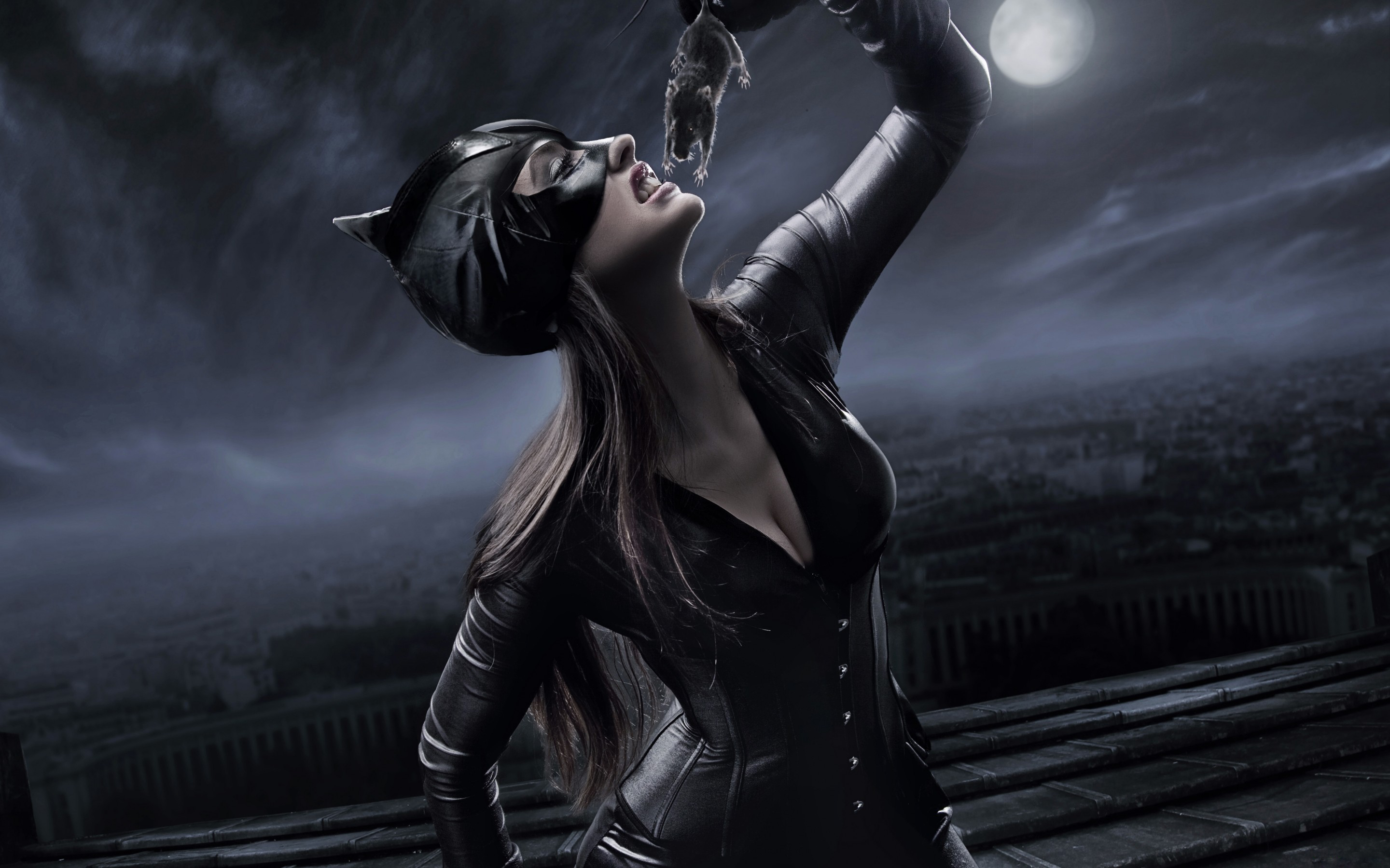 Handy-Wallpaper Catwoman, Comics kostenlos herunterladen.