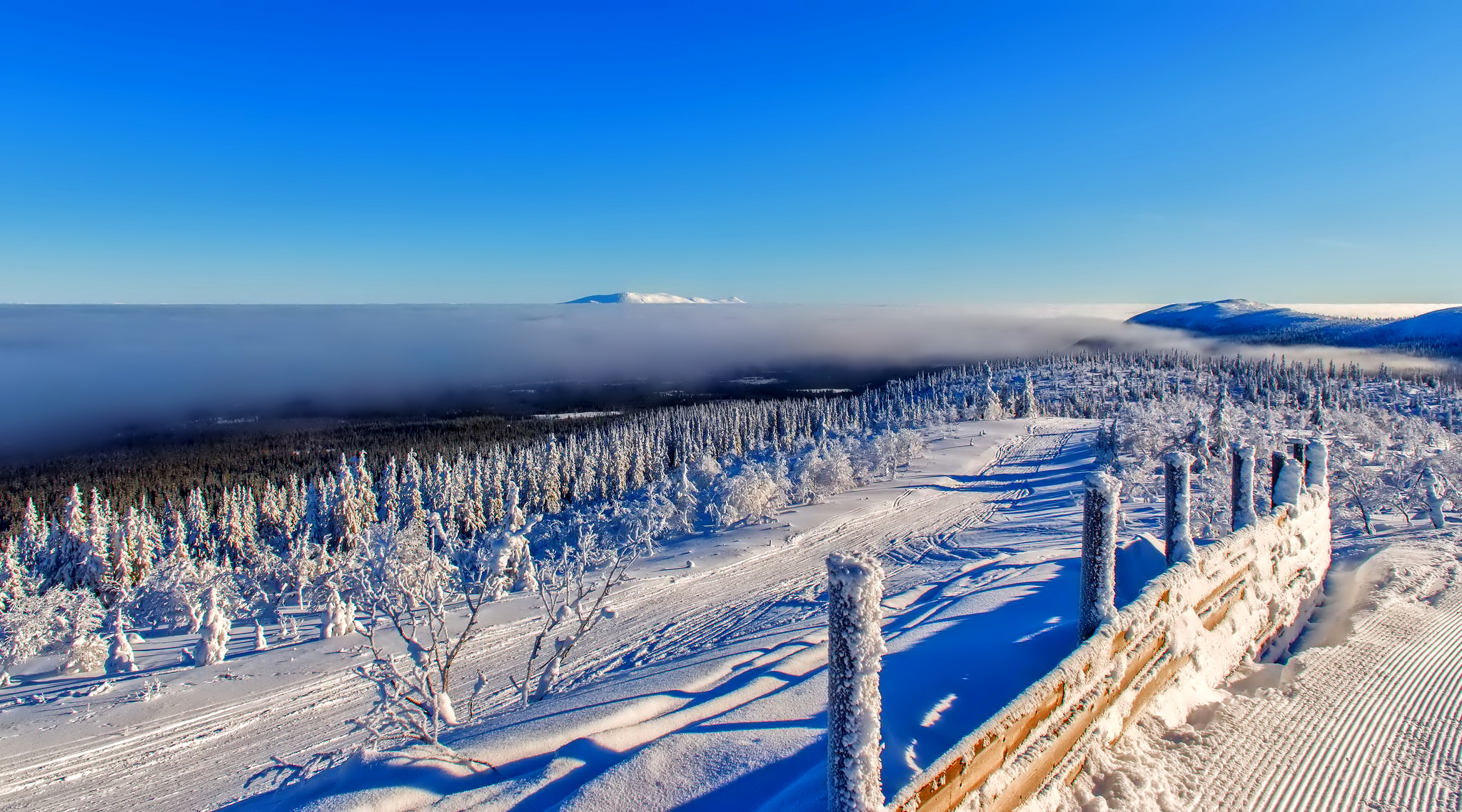 Laden Sie das Winter, Pfad, Zaun, Rauhreif, Natur, Frost-Bild kostenlos auf Ihren PC-Desktop herunter