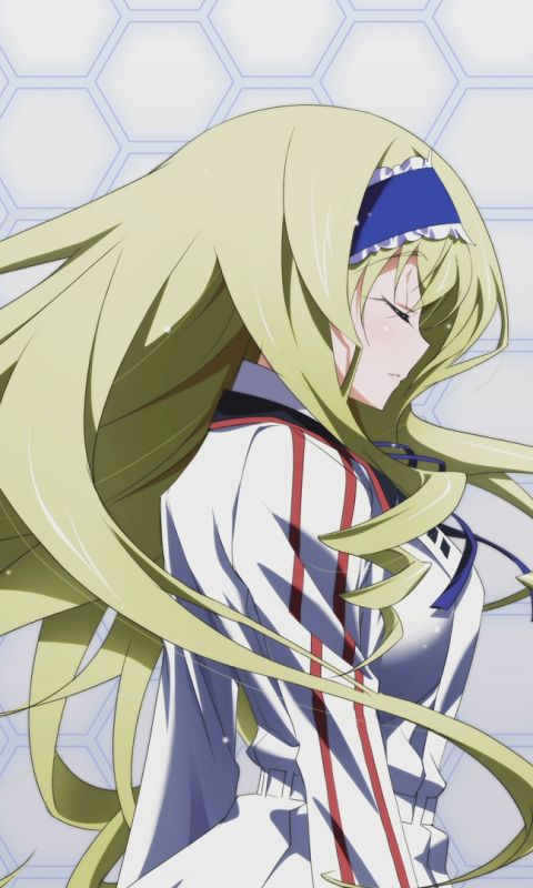 Baixar papel de parede para celular de Anime, Infinite Stratos gratuito.