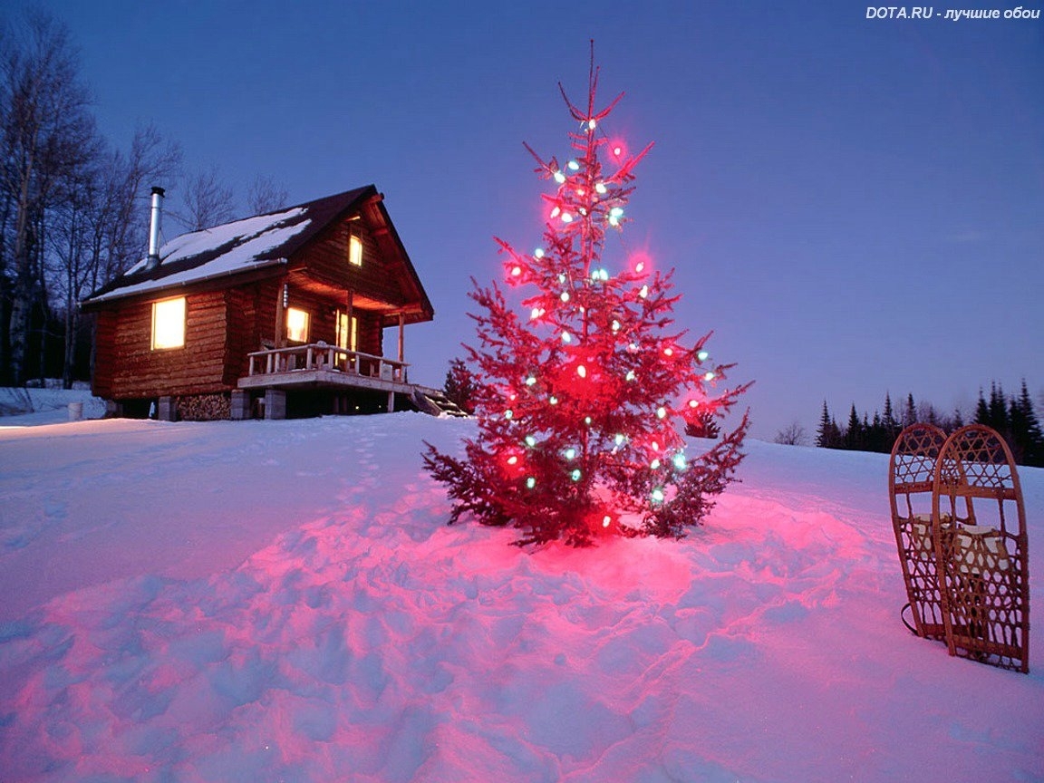 christmas xmas, landscape, holidays, winter, new year, fir trees HD wallpaper