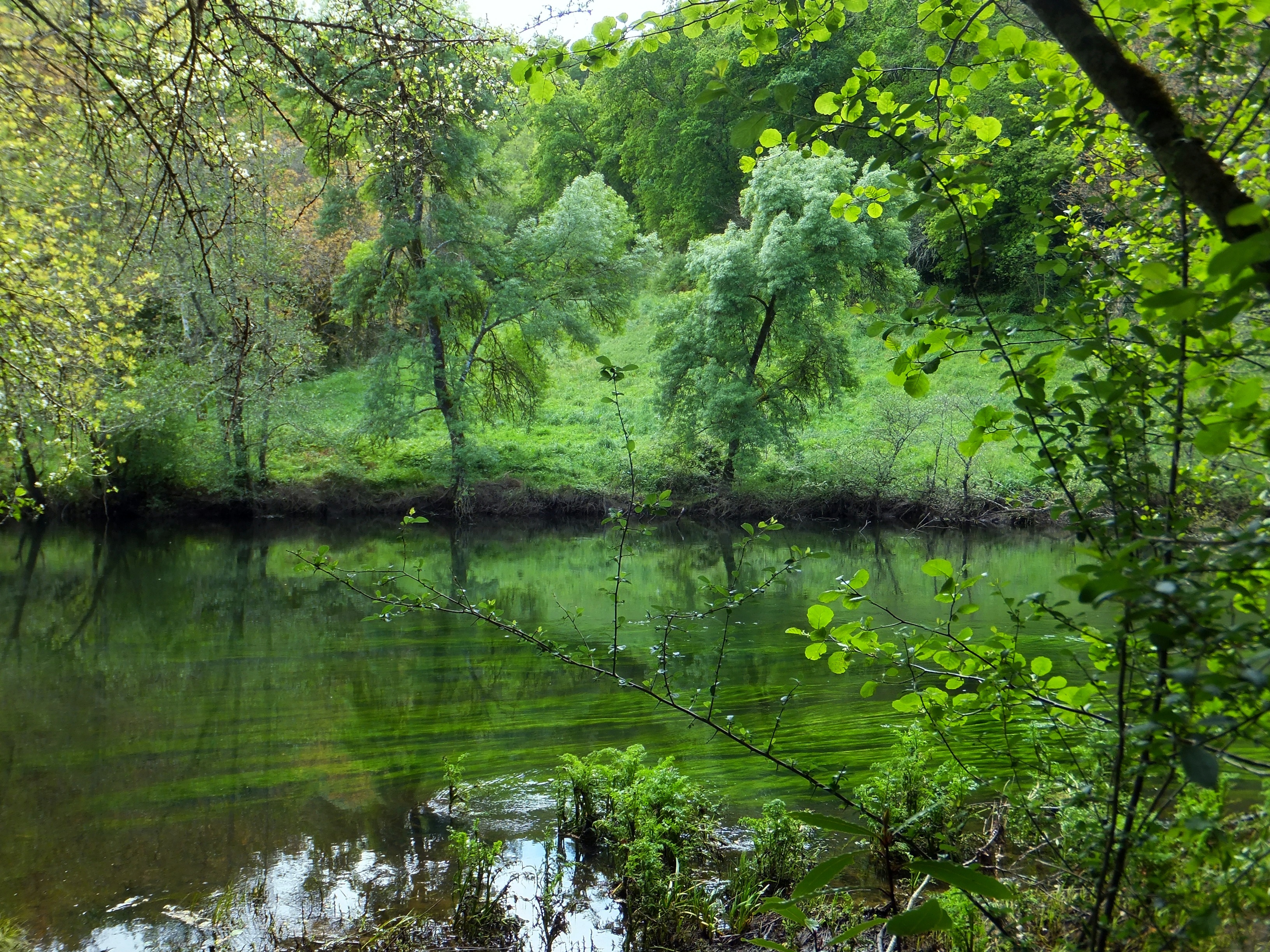 Baixe gratuitamente a imagem Rio, Terra/natureza na área de trabalho do seu PC