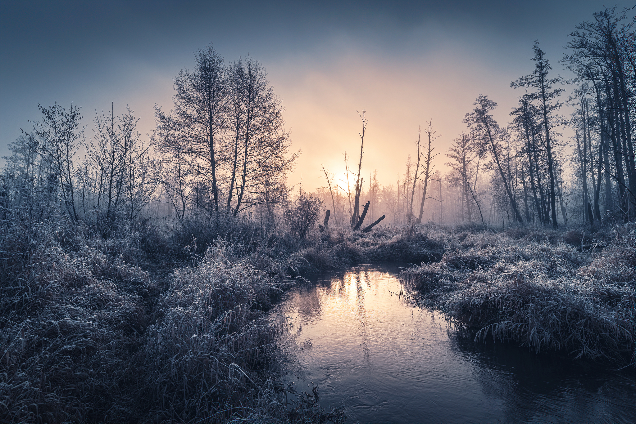 Download mobile wallpaper Winter, Nature, Fog, Earth, Stream, Outdoor for free.