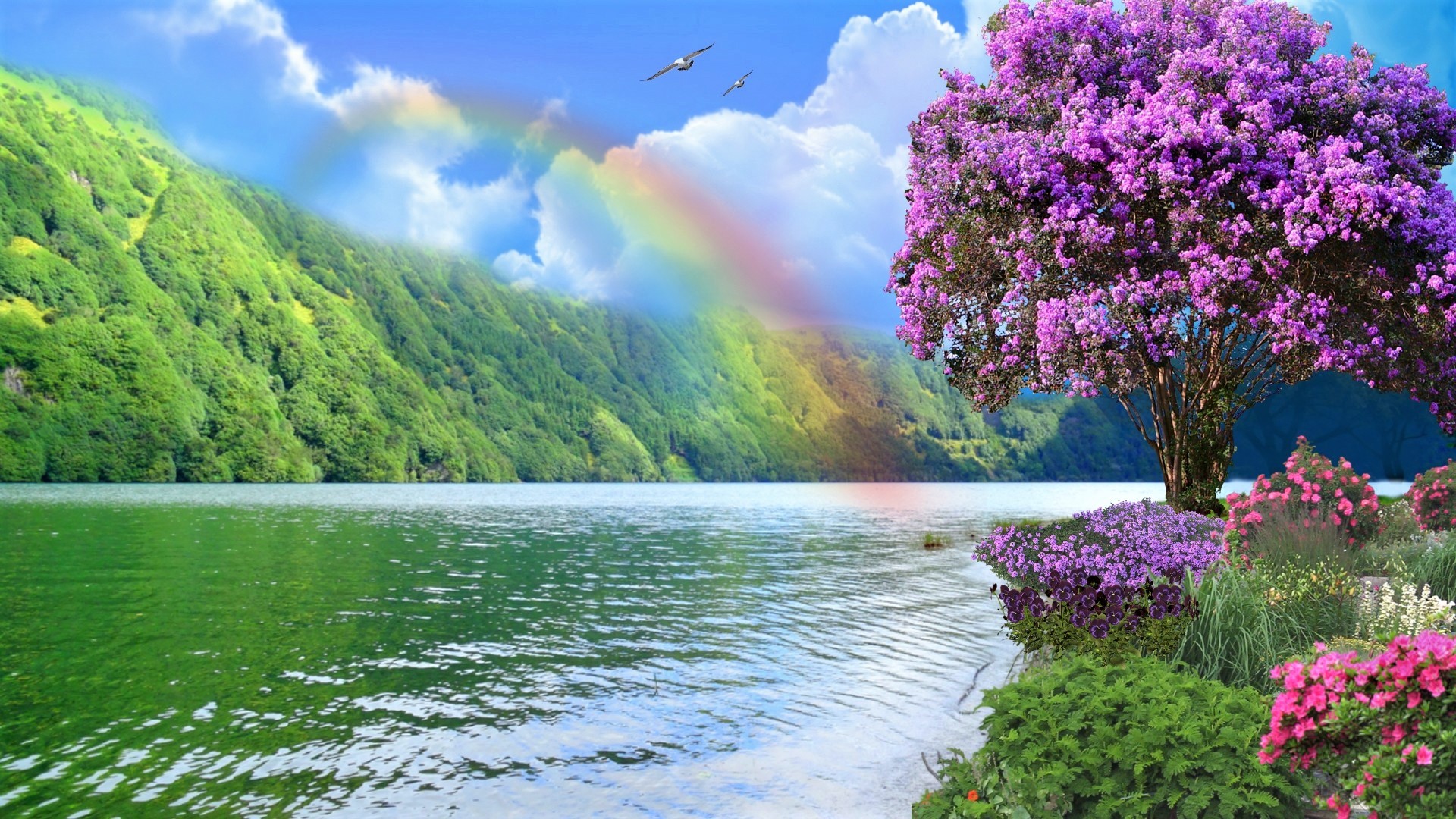 Free download wallpaper Rainbow, Lake, Flower, Tree, Earth, Spring, Manipulation on your PC desktop