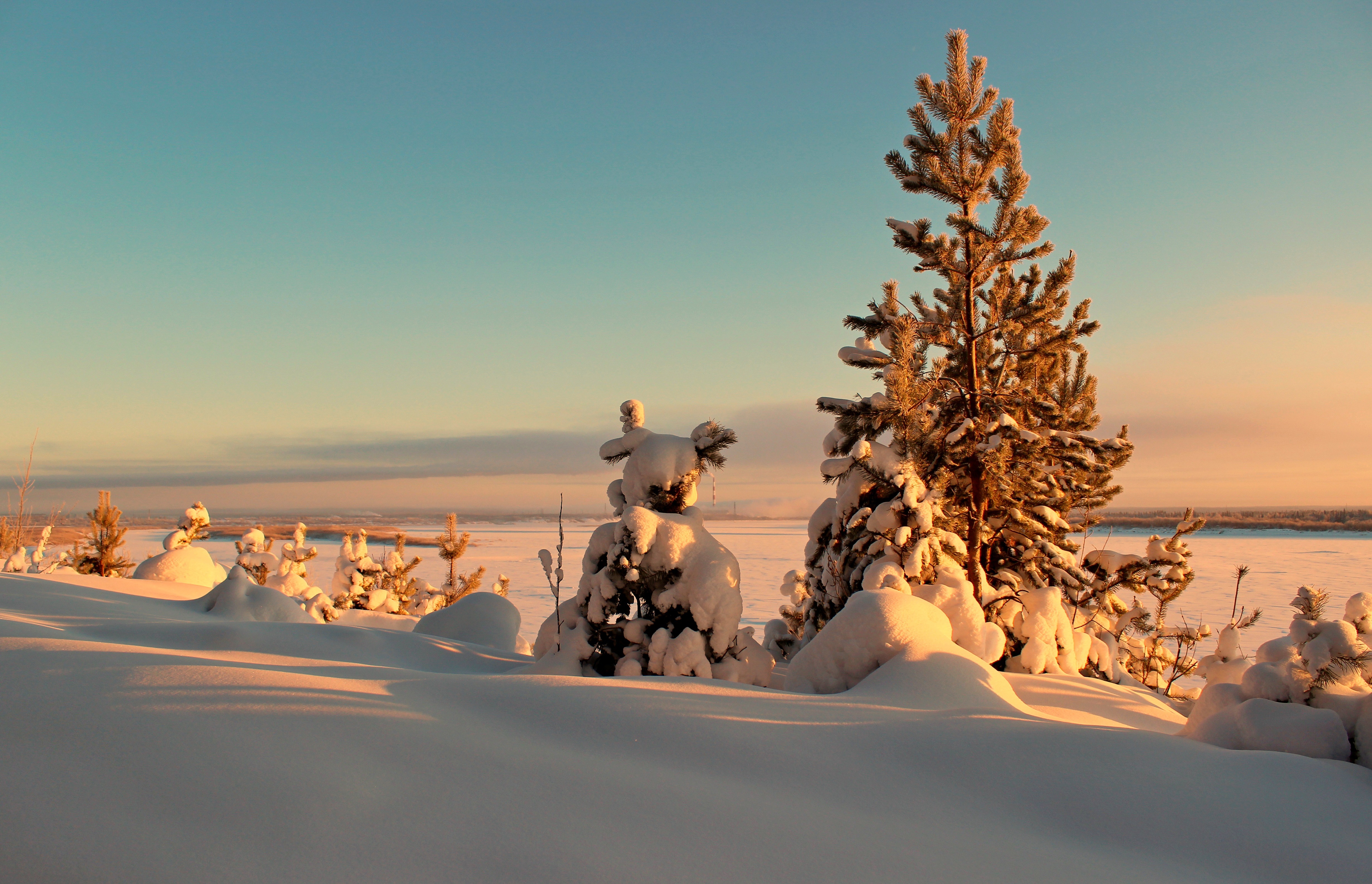 Descarga gratuita de fondo de pantalla para móvil de Invierno, Tierra/naturaleza.