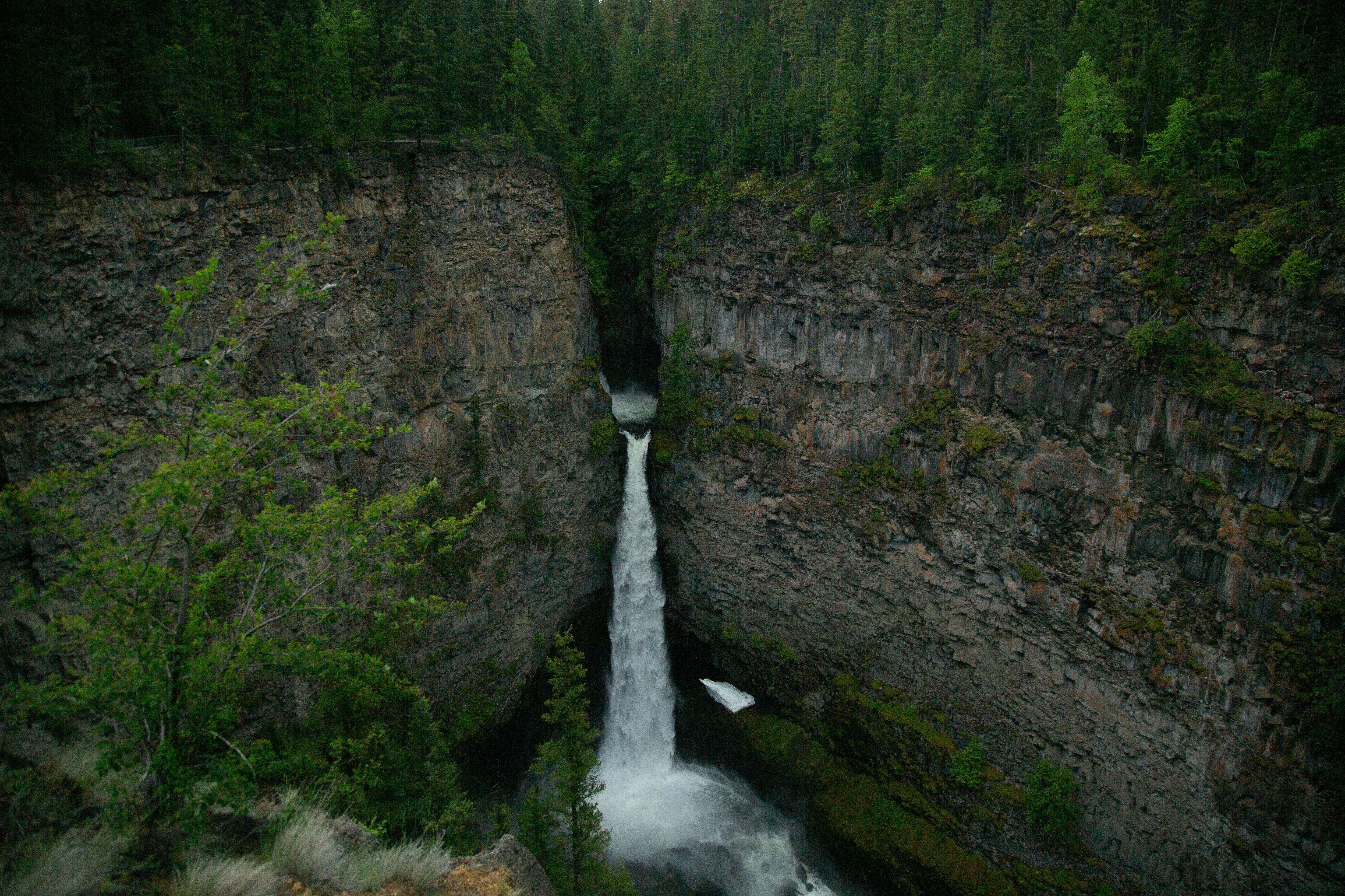 nature, water, trees, waterfall, break, precipice Free Stock Photo