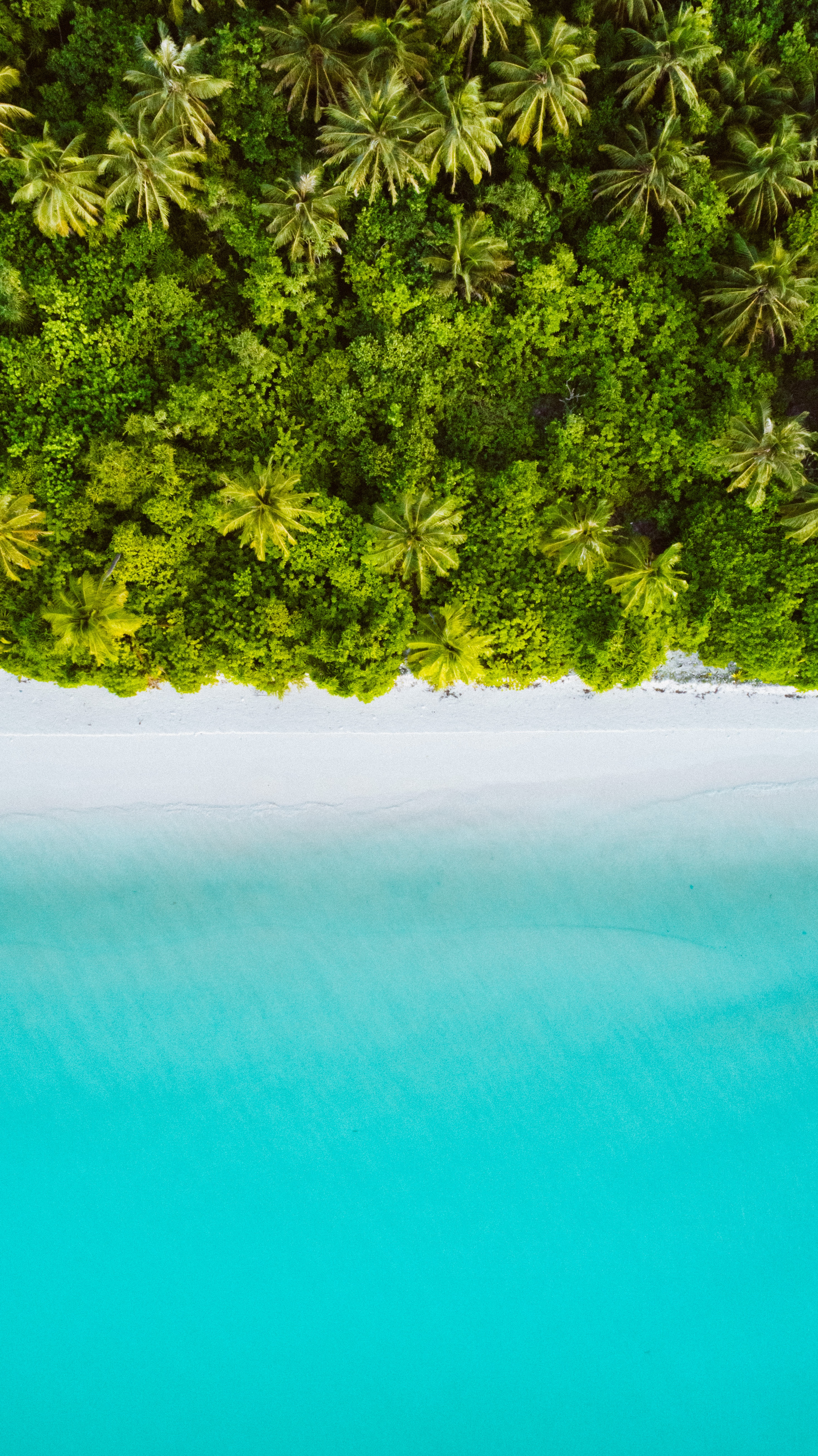 Free download wallpaper Nature, Palms, View From Above, Tropics, Ocean, Beach, Maldives on your PC desktop