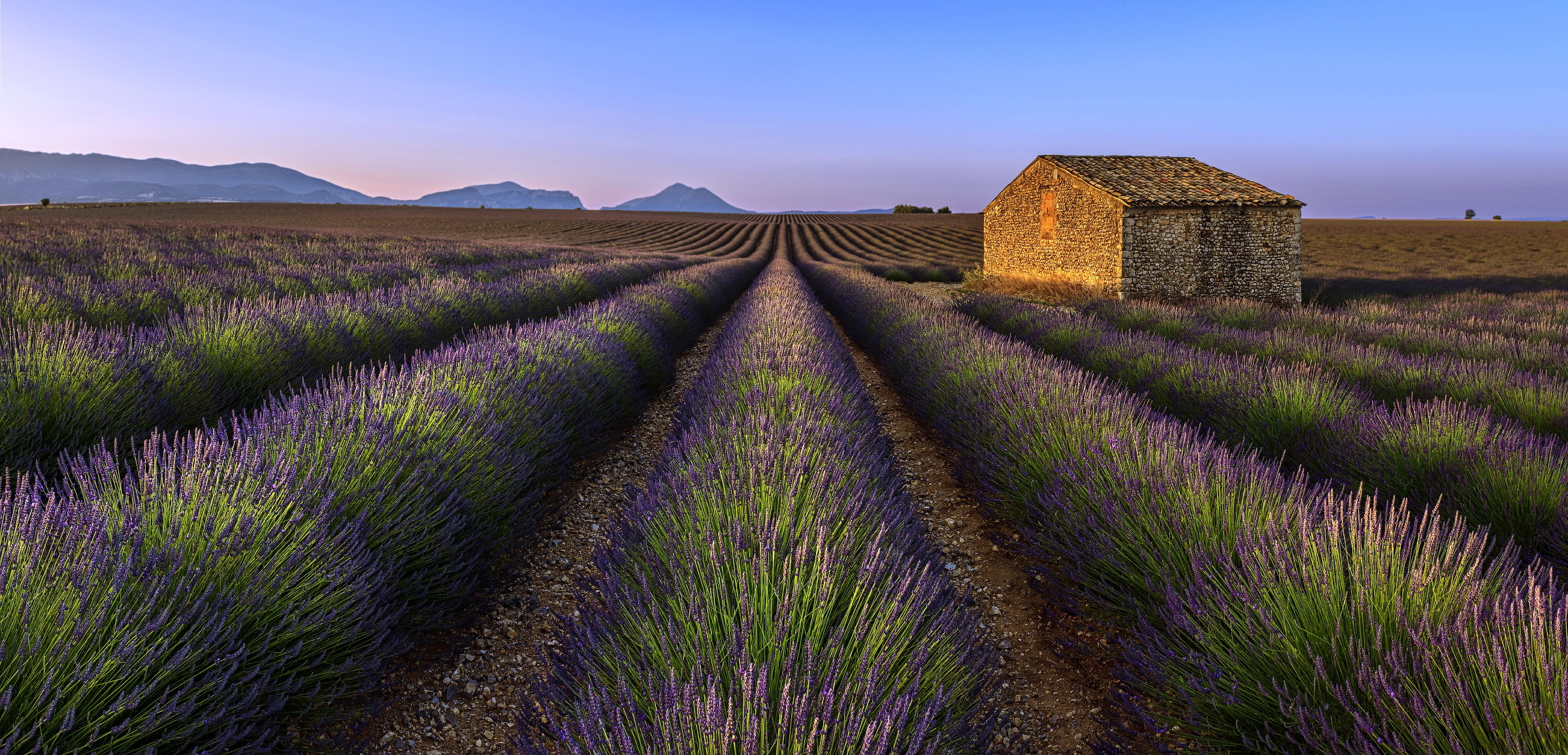 Free download wallpaper Landscape, Nature, Flowers, Horizon, Earth, Field, Lavender, Purple Flower on your PC desktop