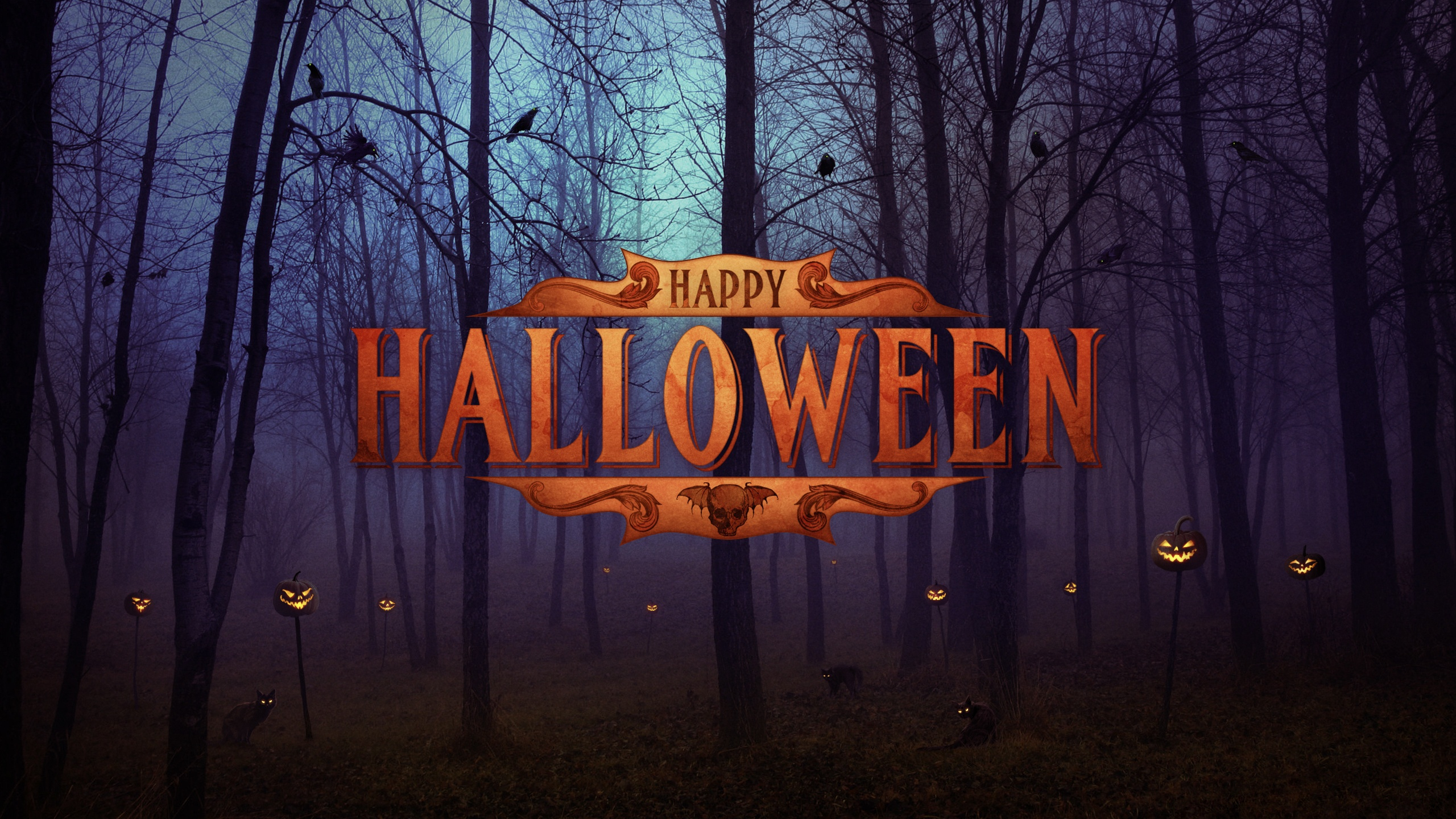 Handy-Wallpaper Feiertage, Halloween, Wald, Nacht, Jack O' Laterne, Fröhliches Halloween kostenlos herunterladen.
