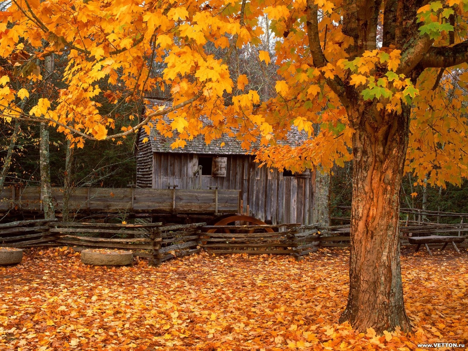 Handy-Wallpaper Häuser, Blätter, Landschaft, Herbst kostenlos herunterladen.