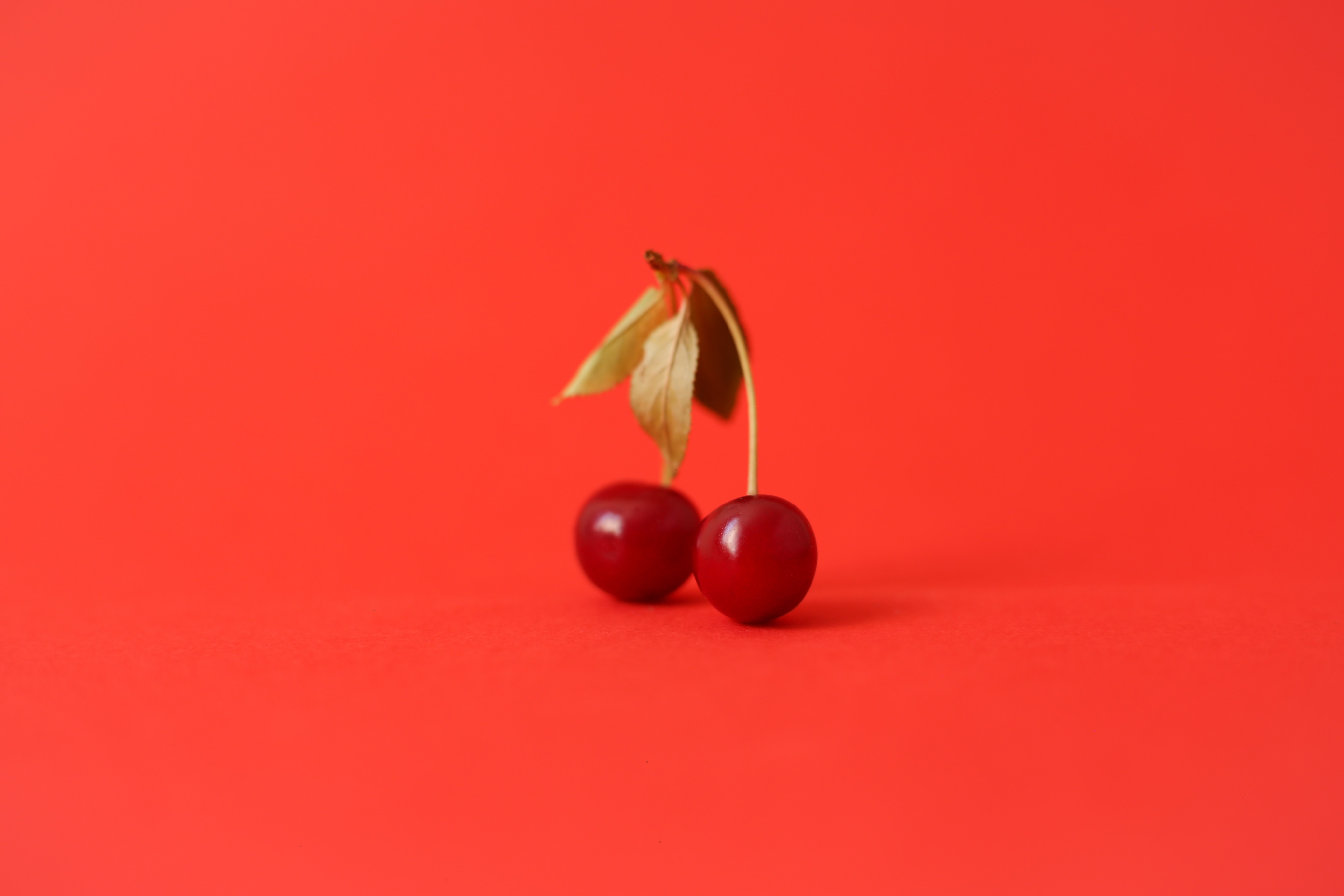 cherry, food, red, sheet, leaf, berry, fruit Full HD