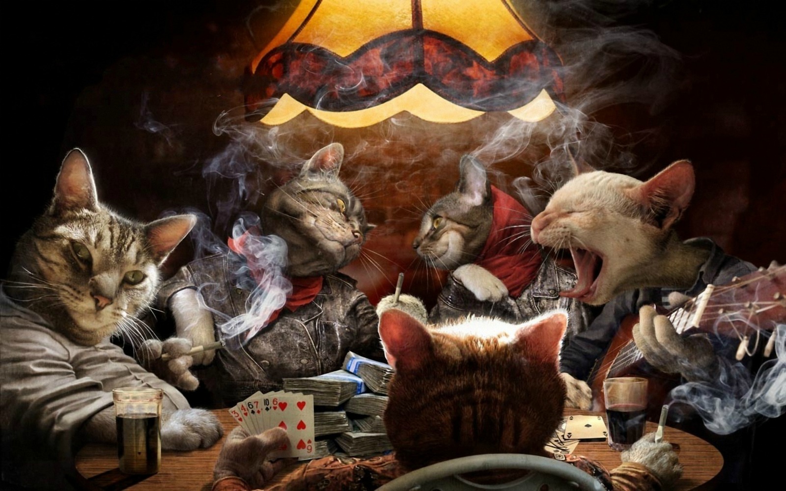Handy-Wallpaper Poker, Spiel, Katze, Lustig, Humor, Katzen, Tiere, Süß kostenlos herunterladen.
