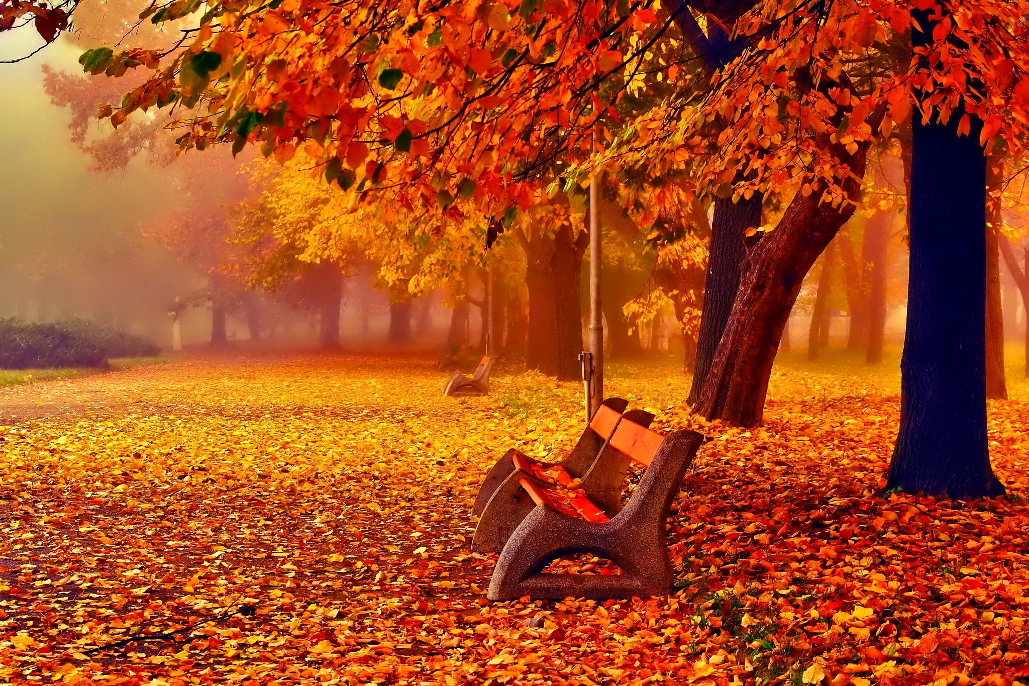 Скачать картинку Осень, Парк, Дерево, Скамья, Сделано Человеком в телефон бесплатно.