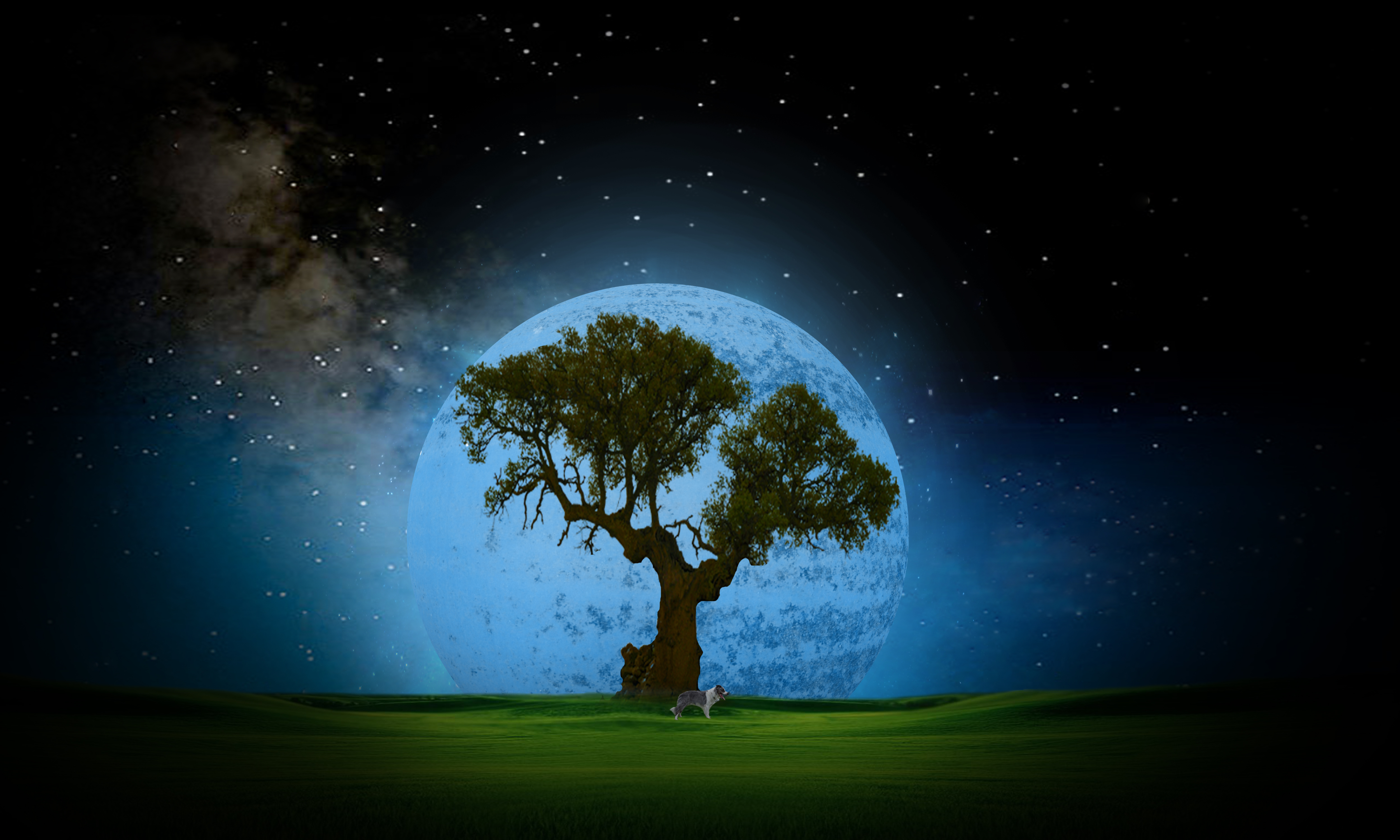 Free download wallpaper Sky, Night, Moon, Tree, Dog, Field, Artistic, Cgi on your PC desktop
