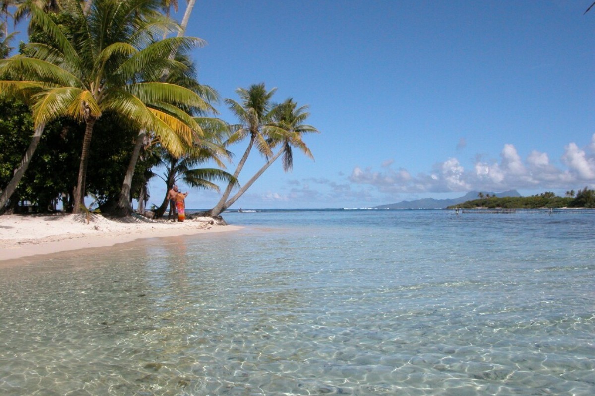 Скачати мобільні шпалери Море, Пальми, Пейзаж, Пляж безкоштовно.