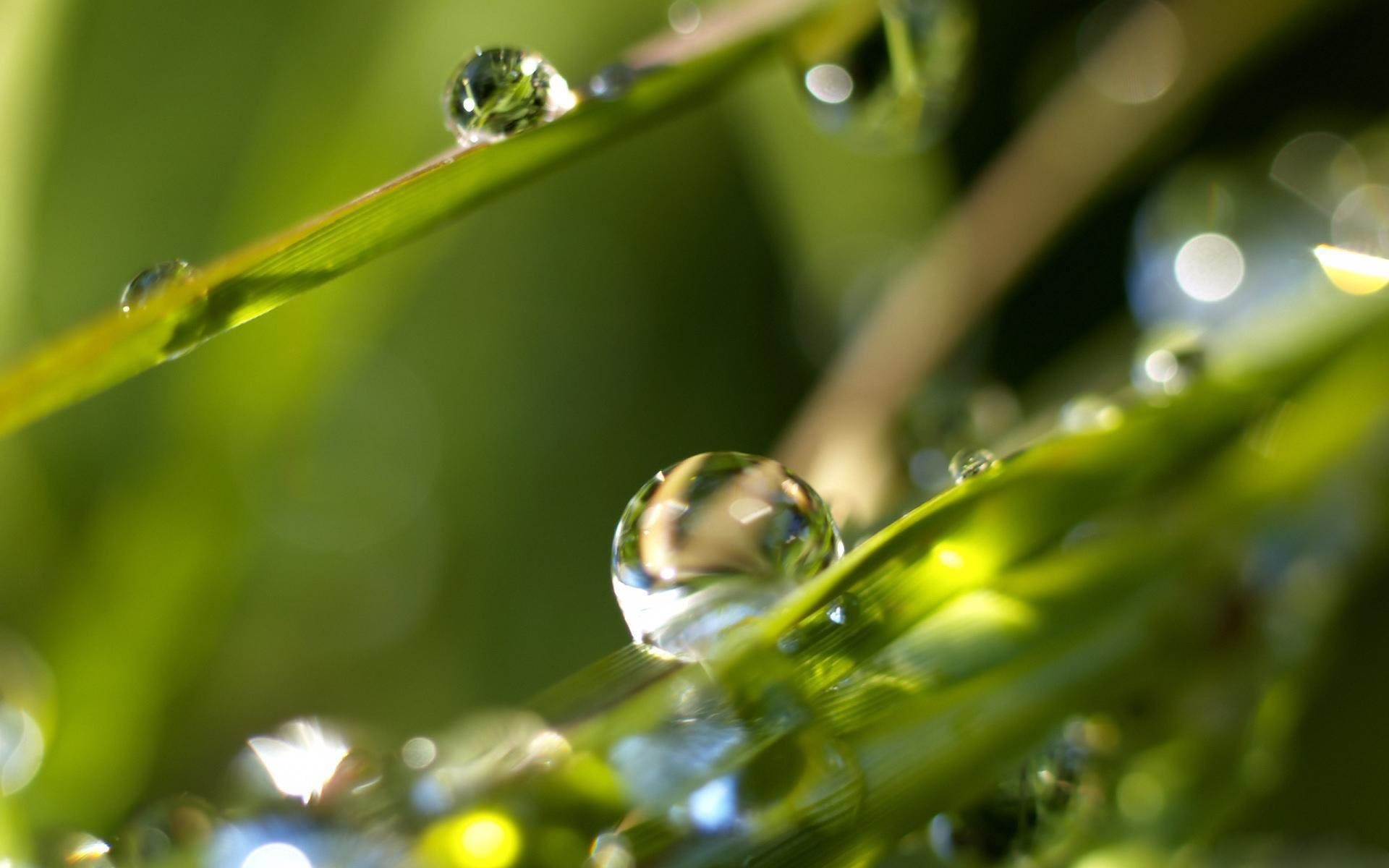 Download mobile wallpaper Grass, Macro, Leaf, Earth, Dew, Water Drop for free.