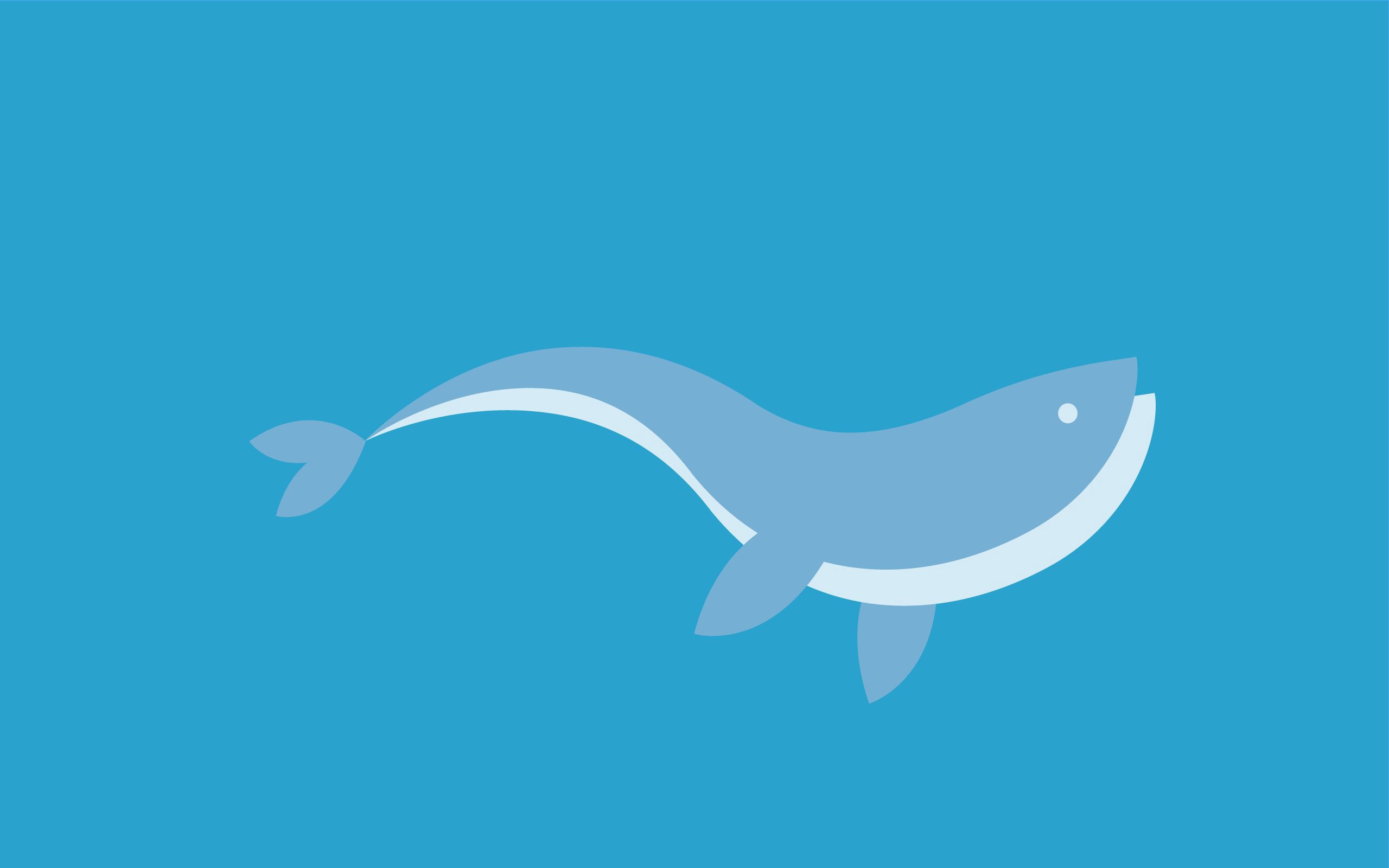 graphics, fish, vector, to swim, swim, dolphin HD wallpaper