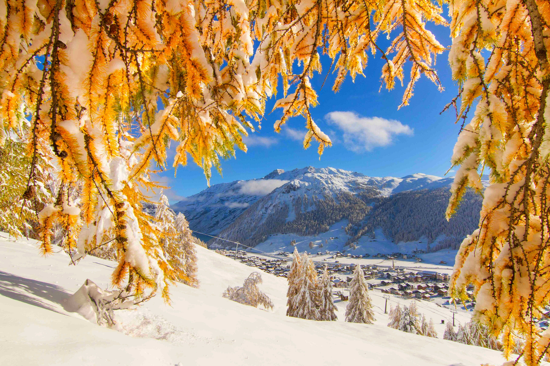 Скачать обои бесплатно Зима, Осень, Снег, Дерево, Ветка, Поле, Ландшафт, Земля/природа картинка на рабочий стол ПК