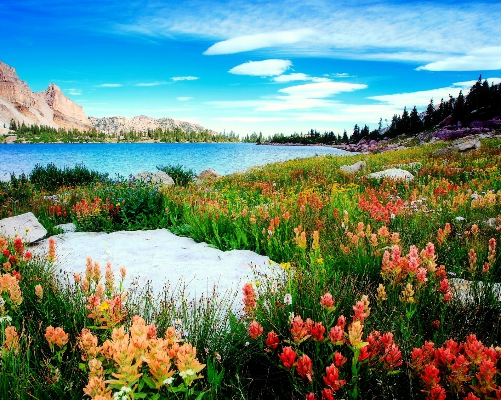 Скачать картинку Пейзаж, Природа, Озера, Гора, Озеро, Цветок, Ландшафт, Земля/природа в телефон бесплатно.