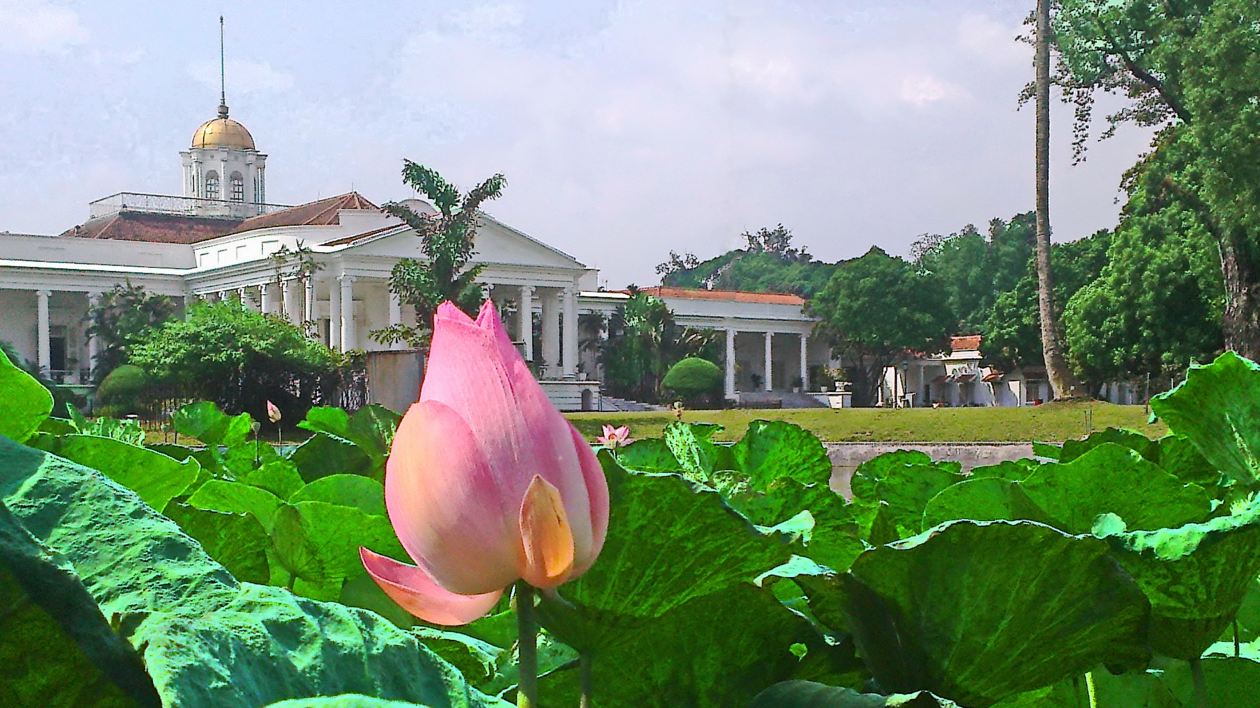 Die besten Bogor Palast-Hintergründe für den Telefonbildschirm