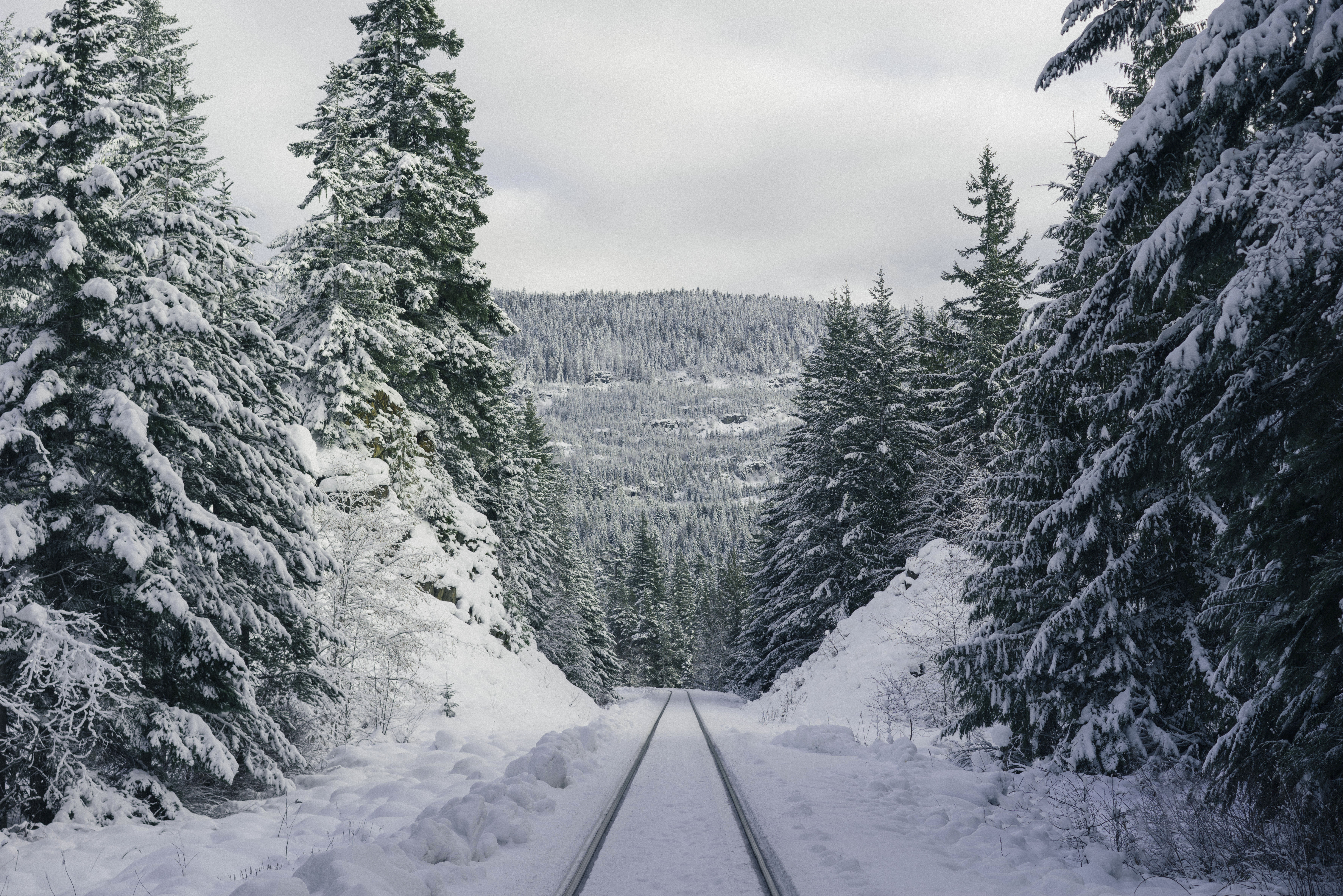 PCデスクトップに冬, 自然, 山脈, 森林, 森, パス, トレイル画像を無料でダウンロード