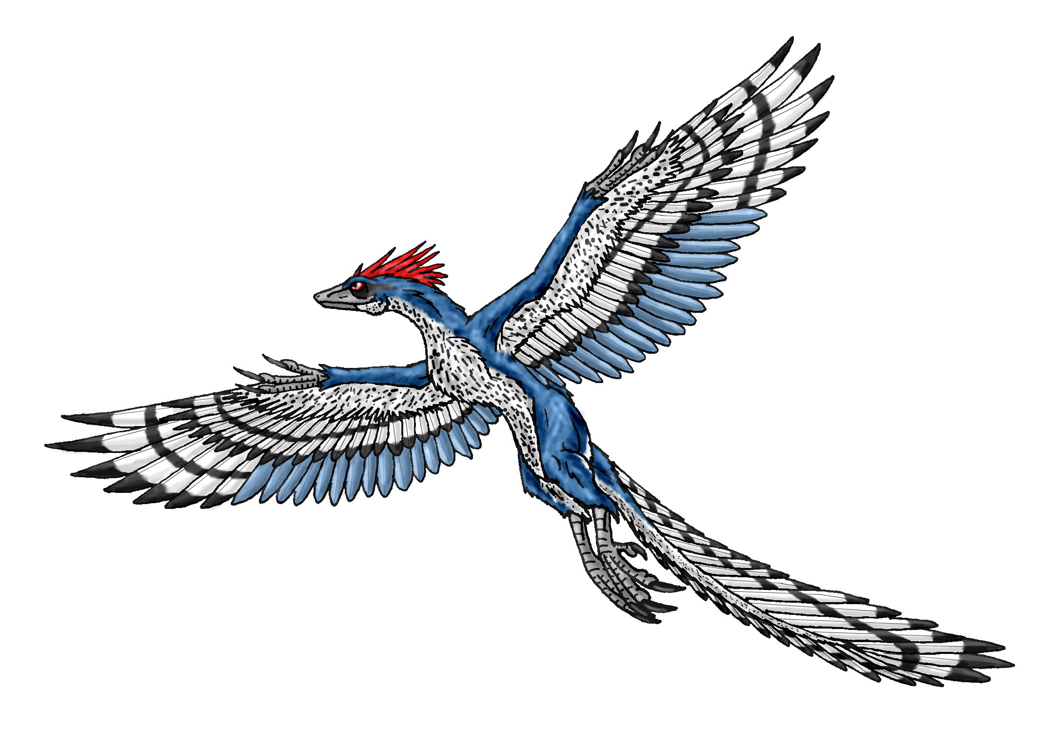 598864 Hintergrundbild herunterladen tiere, archaeopteryx - Bildschirmschoner und Bilder kostenlos