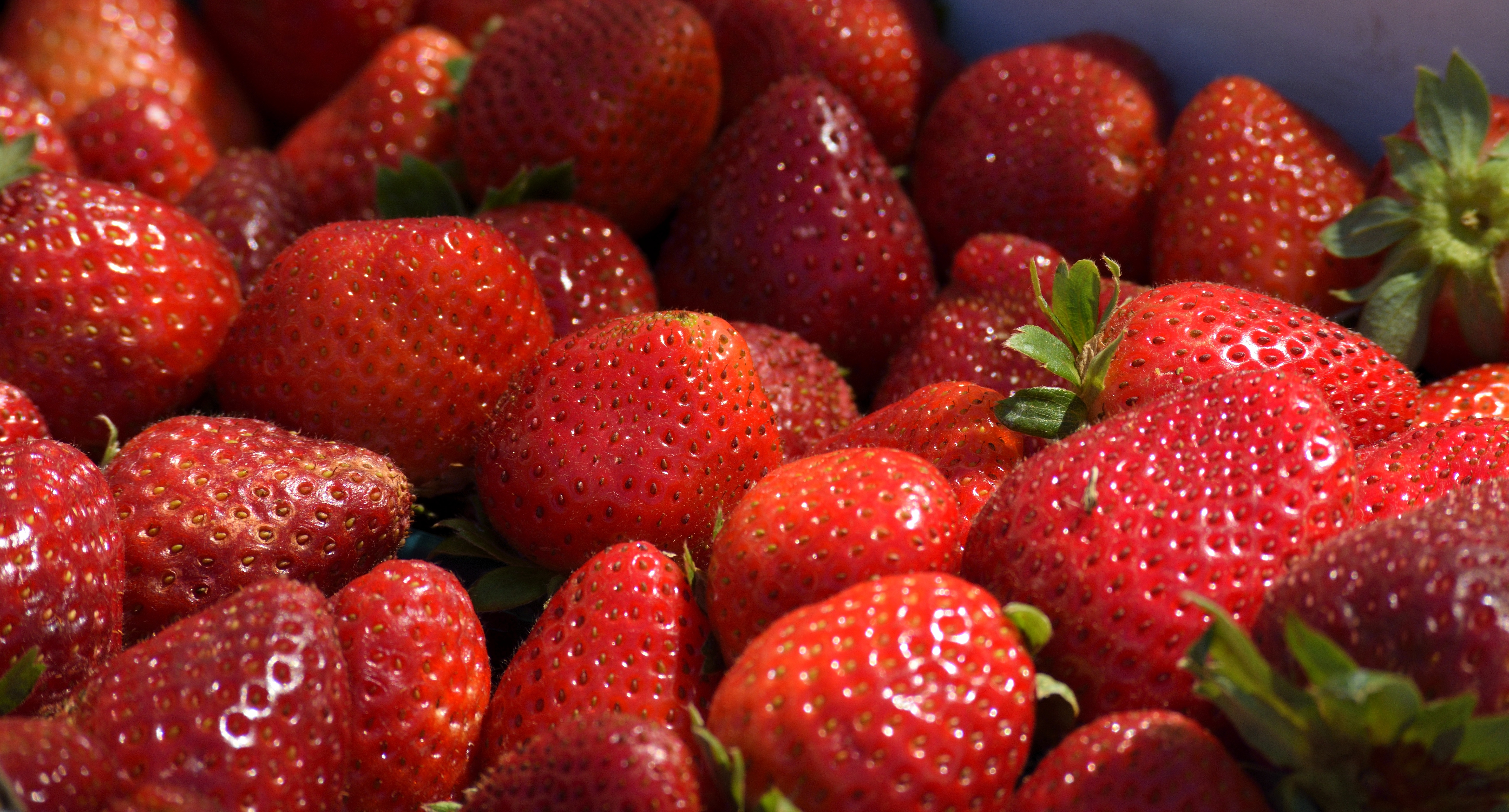 food, strawberry, berries, sweet, ripe