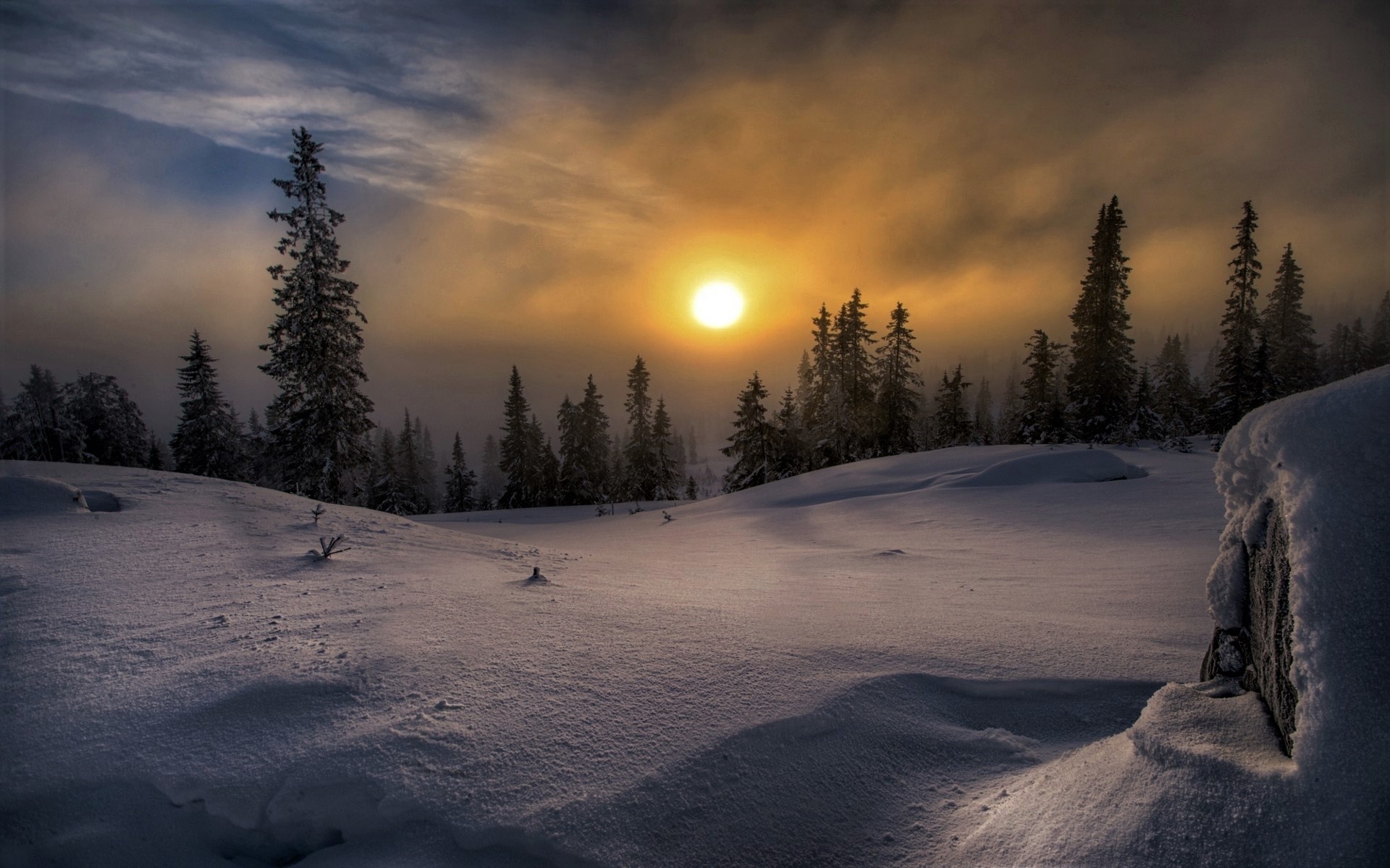PCデスクトップに冬, 日没, 雪, 森, 地球画像を無料でダウンロード