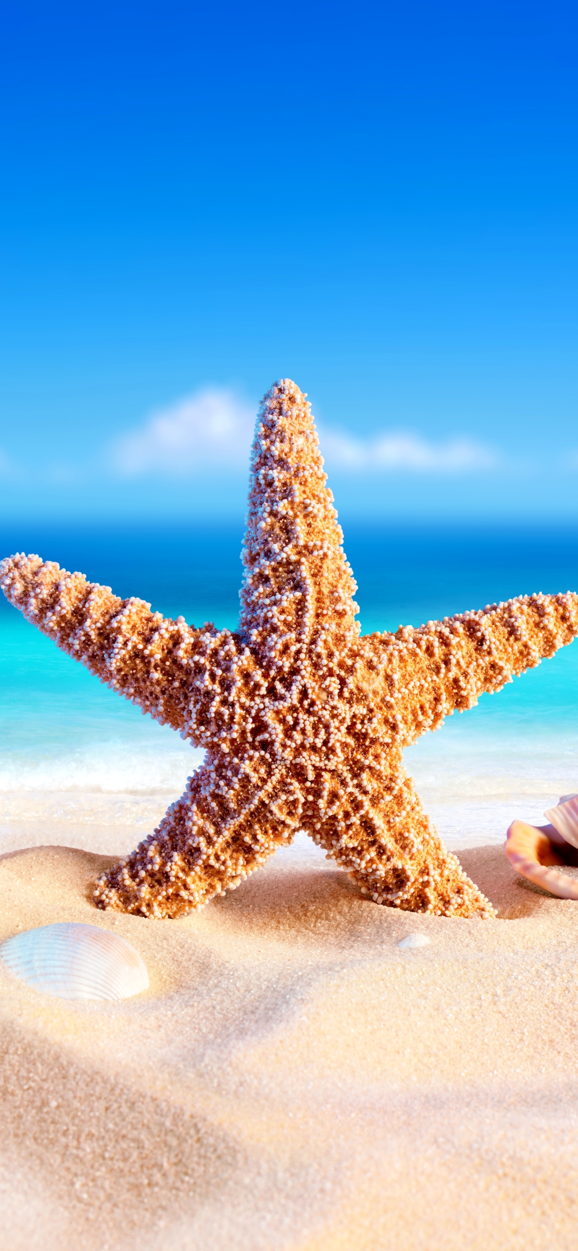 Download mobile wallpaper Beach, Sand, Summer, Starfish, Artistic, Shell for free.